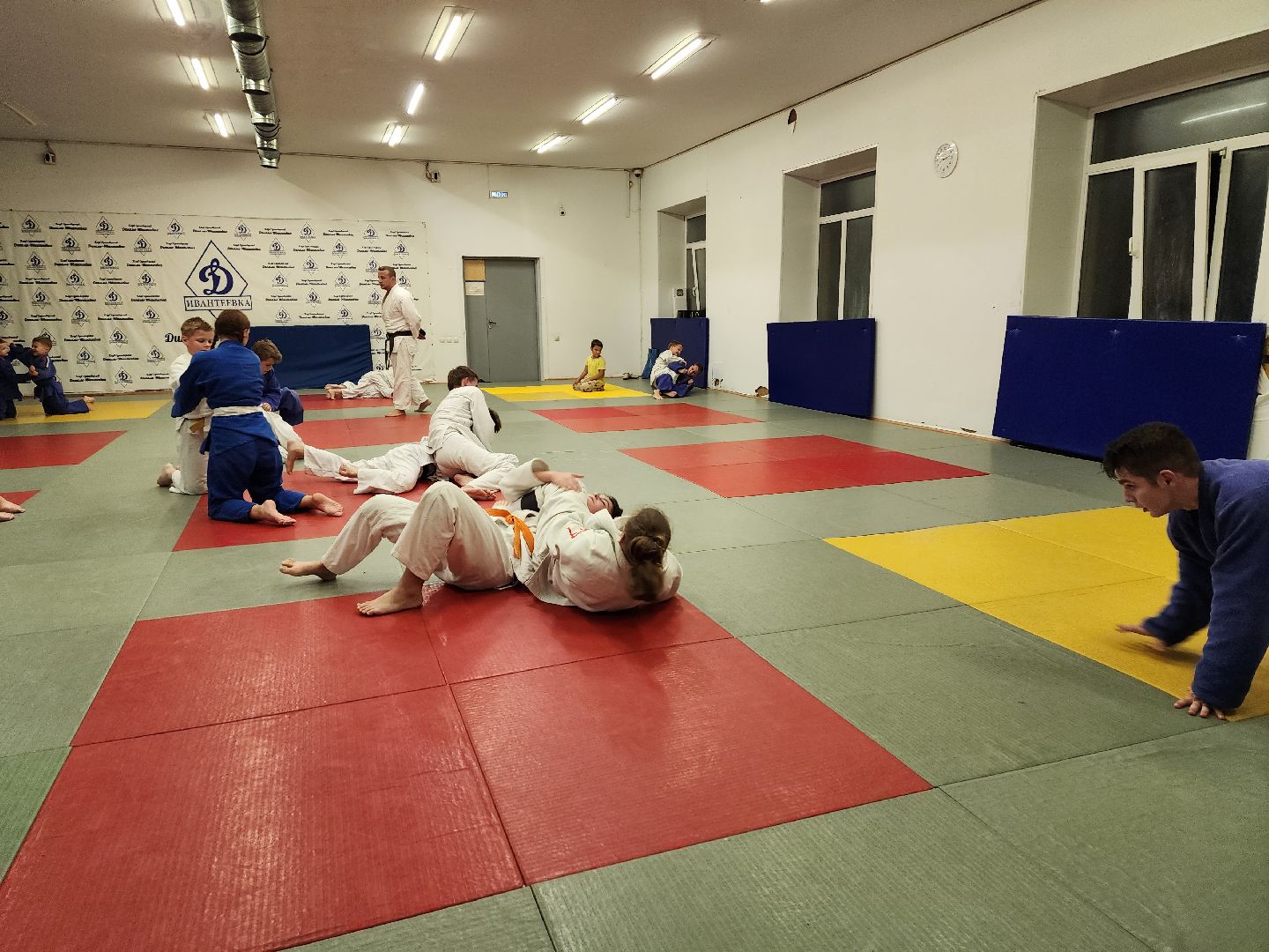 спорт, дзюдо, ивантеевка, медаль,