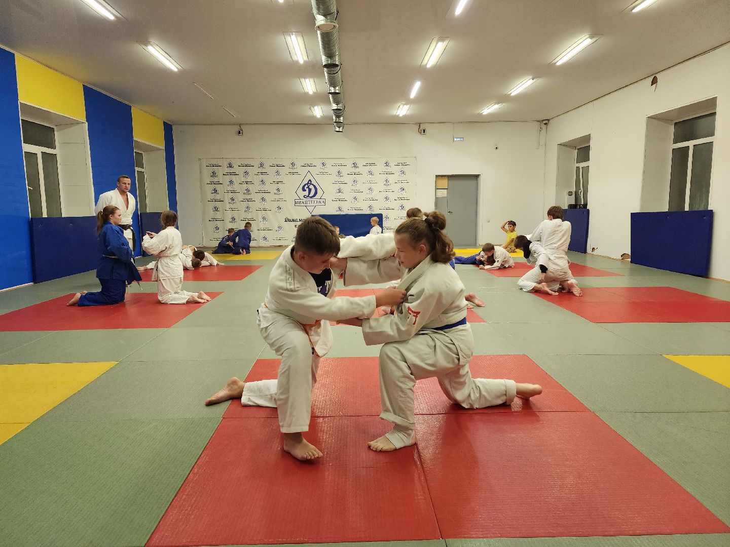 спорт, дзюдо, ивантеевка, медаль,