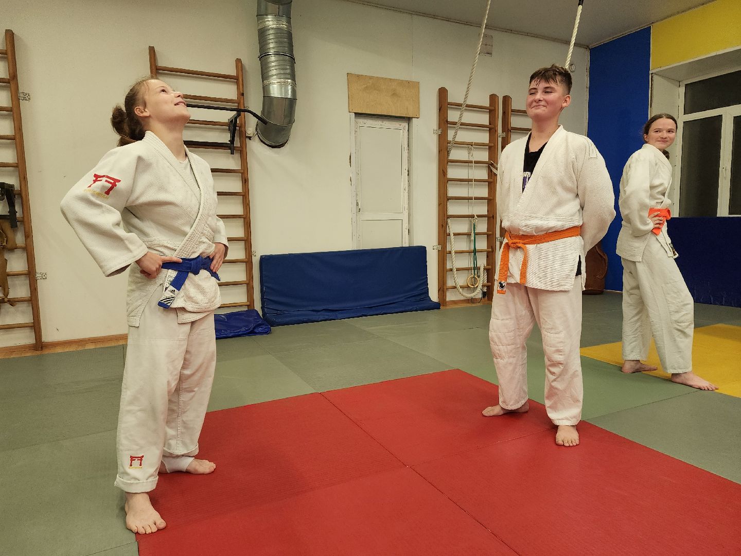 спорт, дзюдо, ивантеевка, медаль,