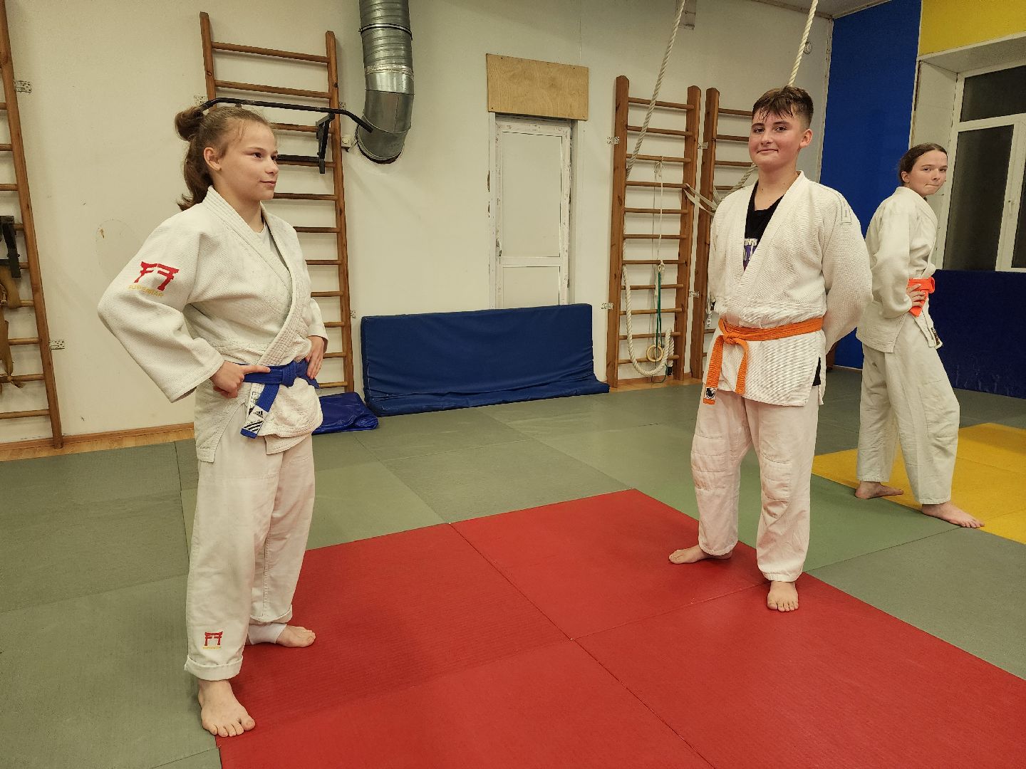 спорт, дзюдо, ивантеевка, медаль,