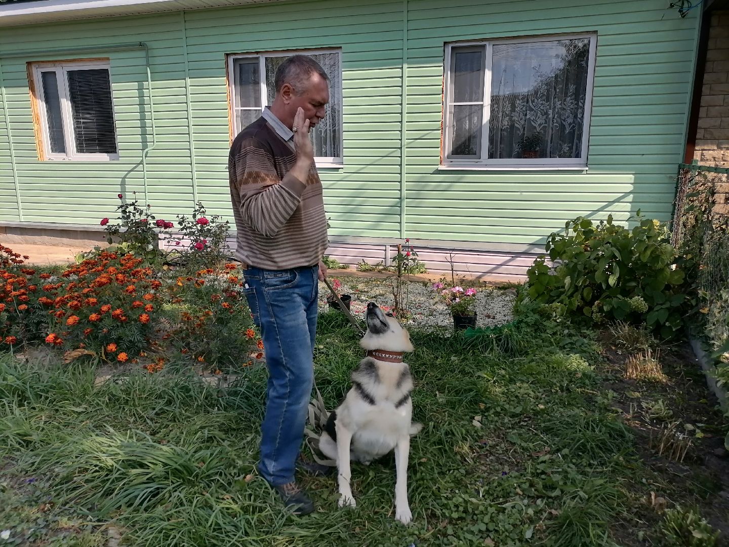 регистрацияживотных,