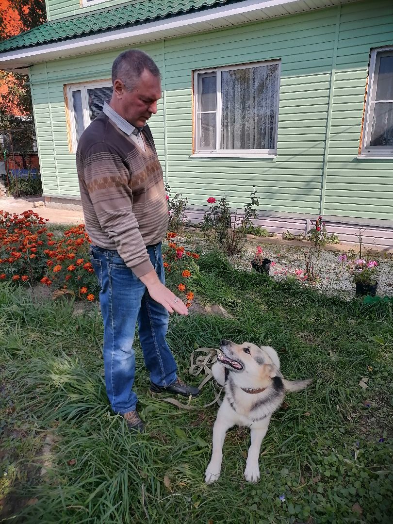 регистрацияживотных,