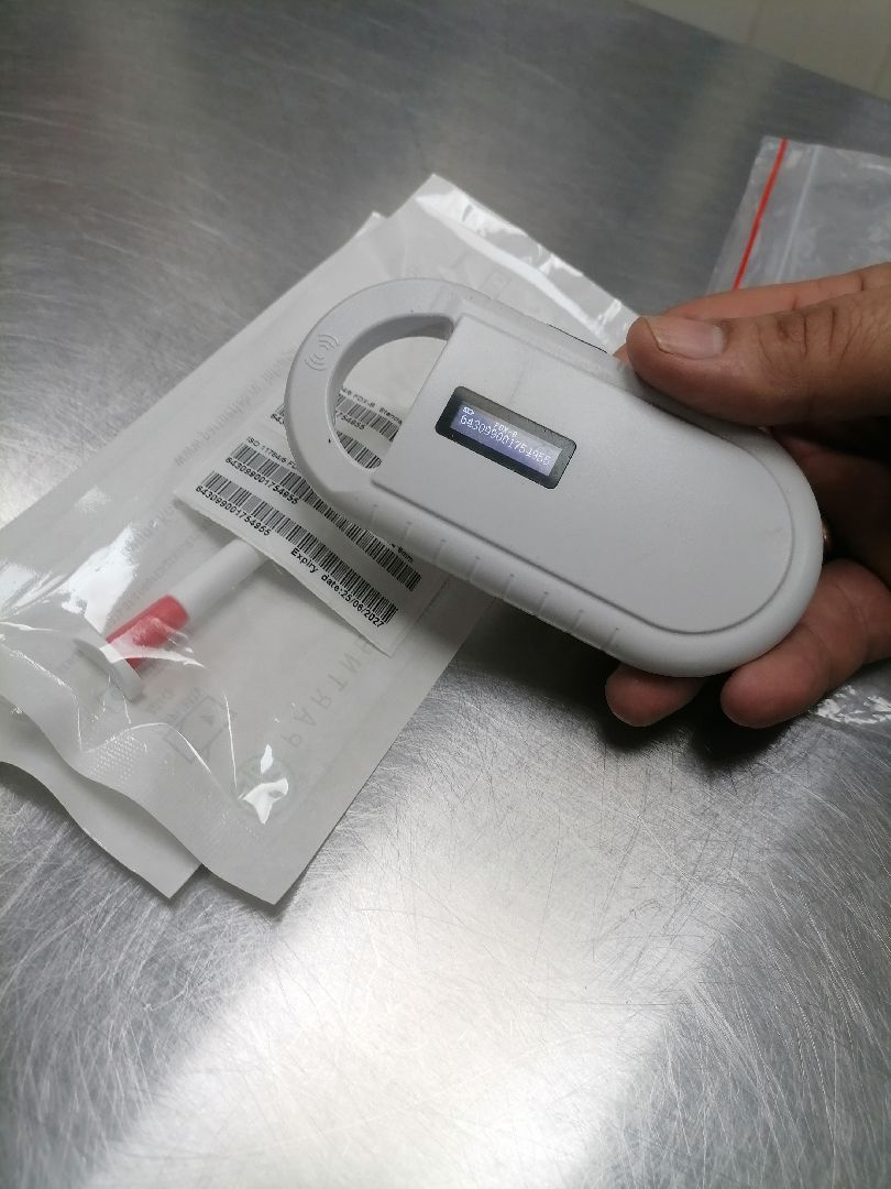 регистрацияживотных,