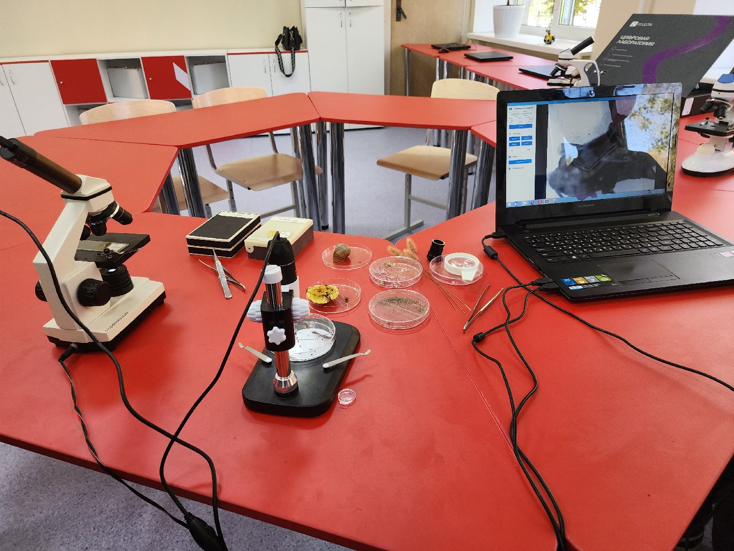 точка роста, серпухов, подмосковье, школа, образование, технологии,