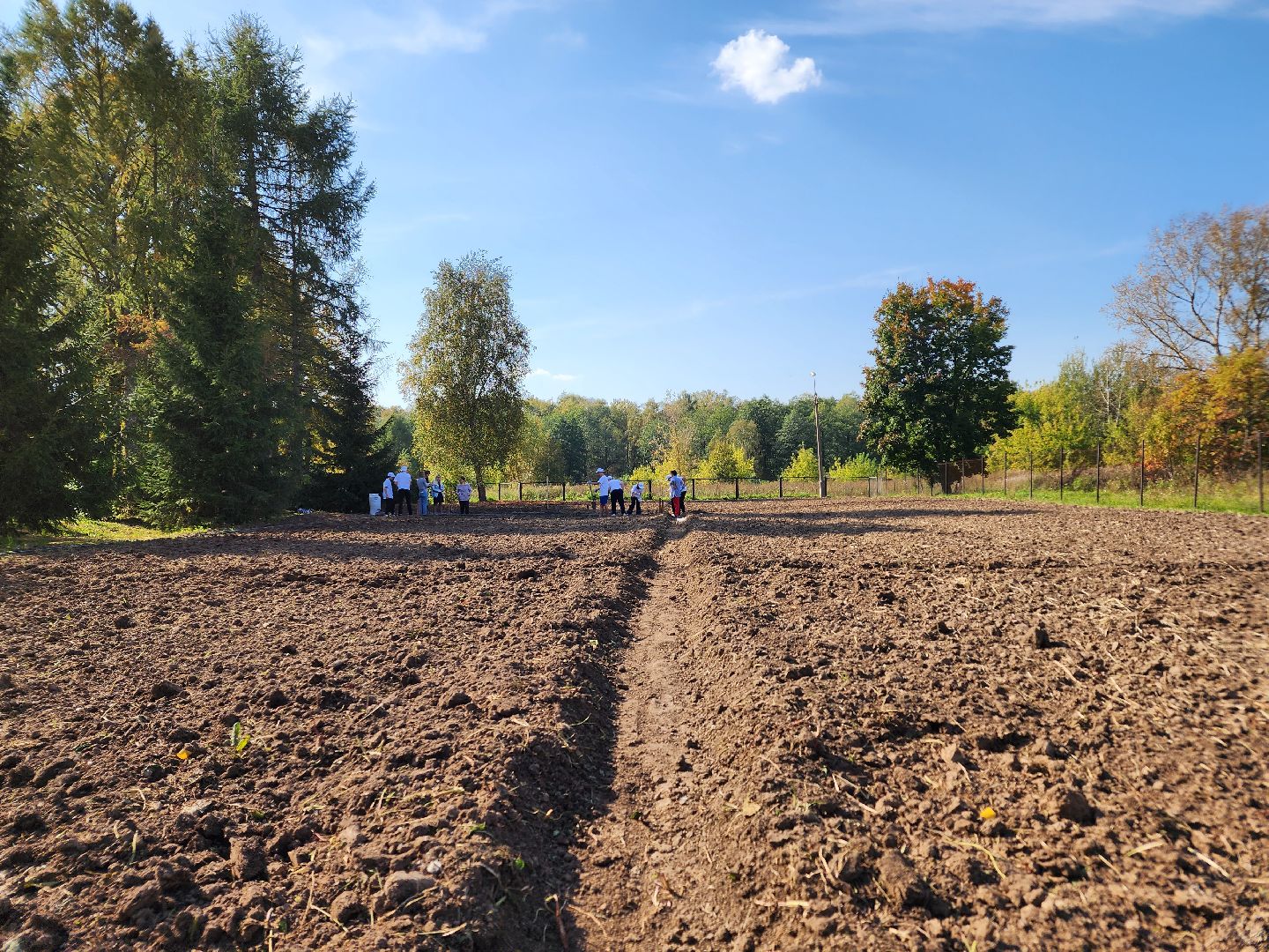 Ступино, аграрный класс, образование,