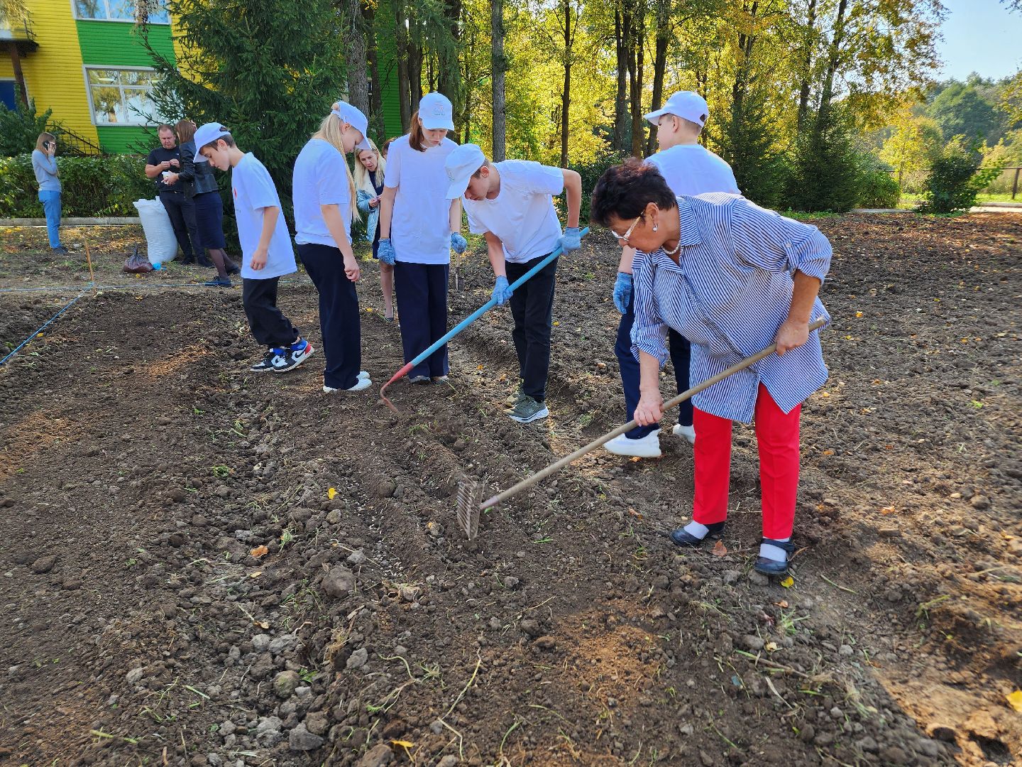 Ступино, аграрный класс, образование,