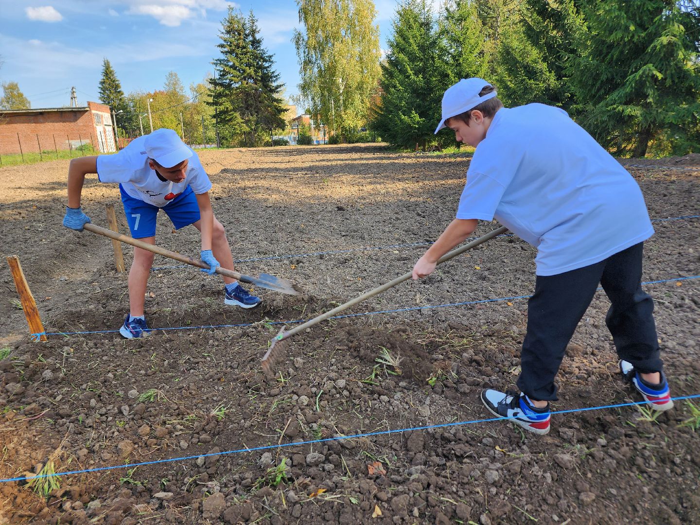 Ступино, аграрный класс, образование,