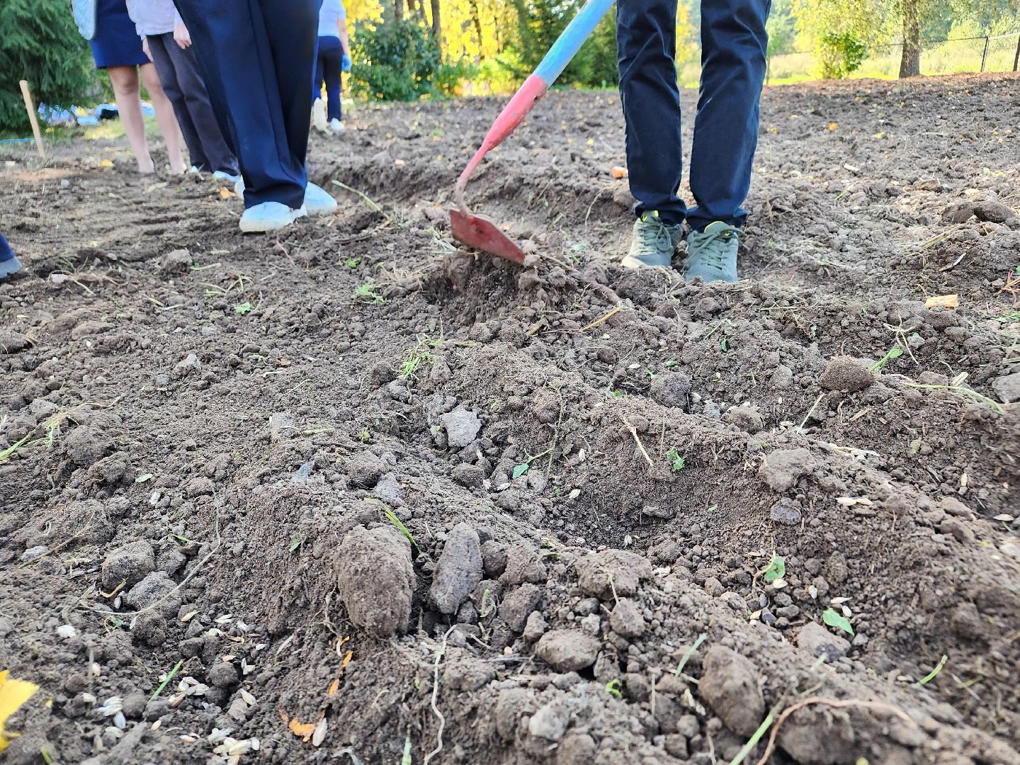 Ступино, аграрный класс, образование,