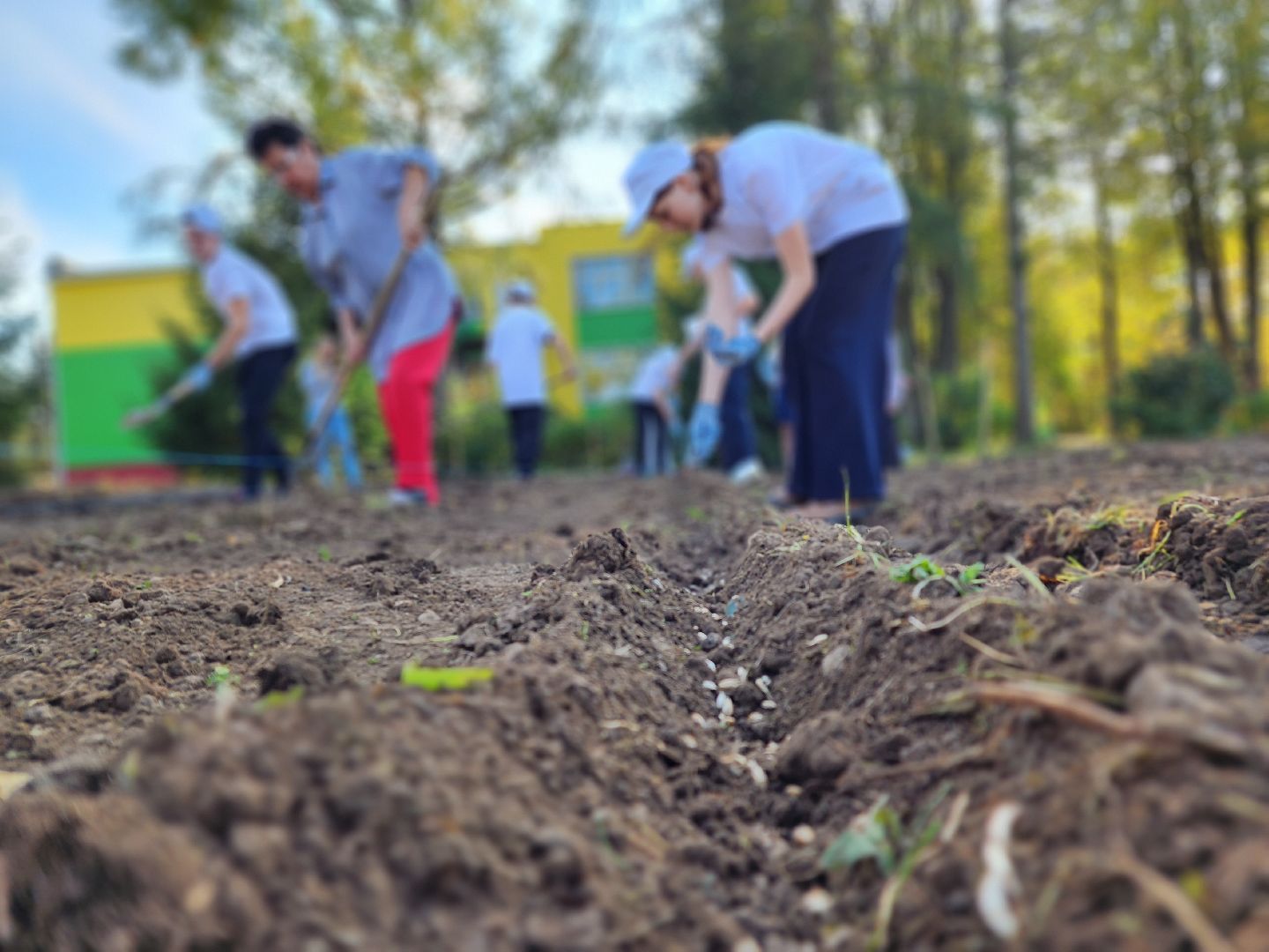Ступино, аграрный класс, образование,