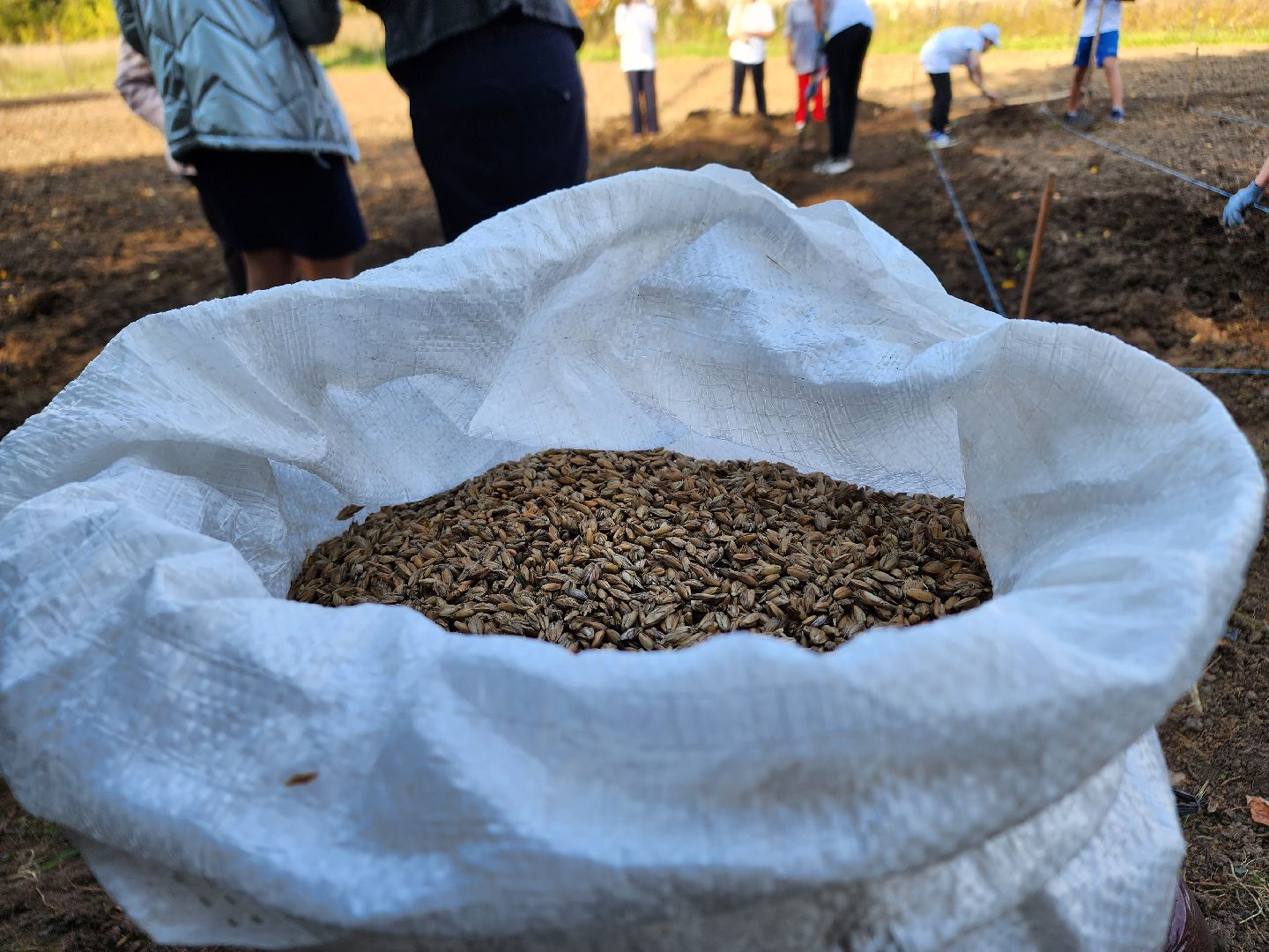 Ступино, аграрный класс, образование,