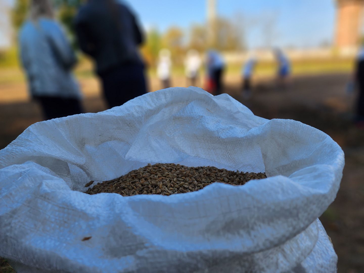 Ступино, аграрный класс, образование,