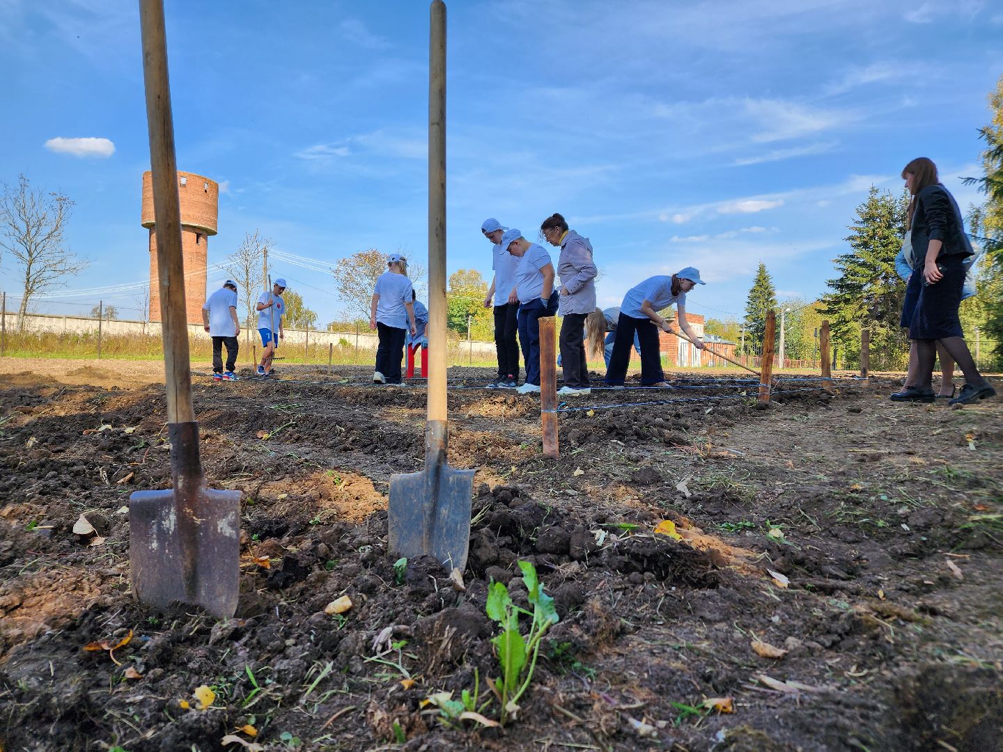 Ступино, аграрный класс, образование,