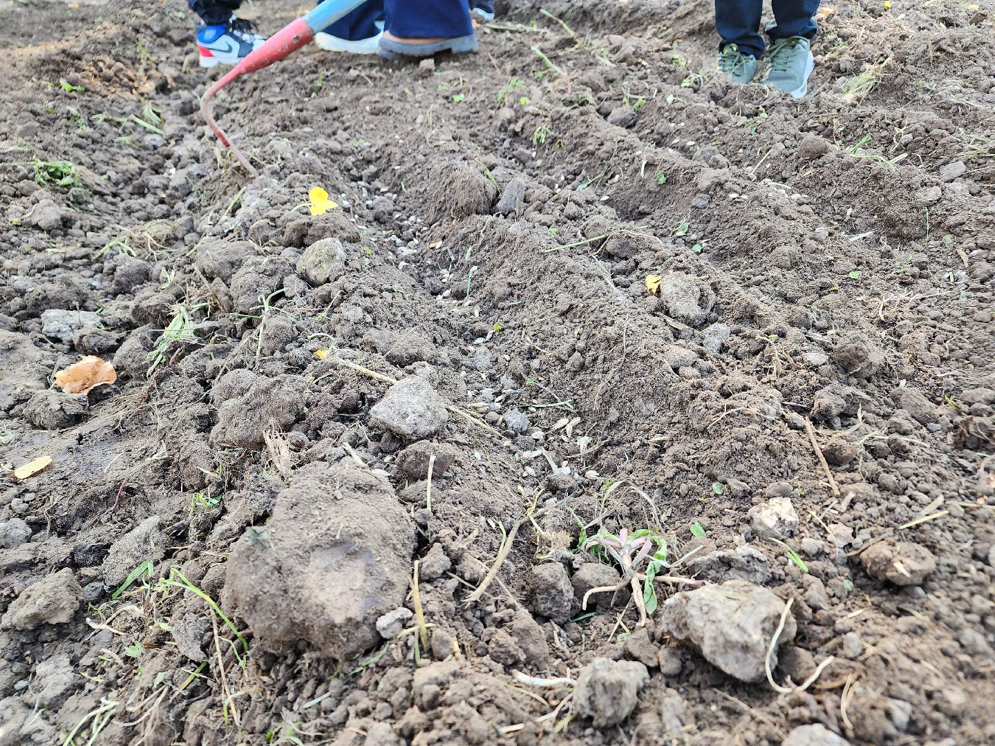 Ступино, аграрный класс, образование,