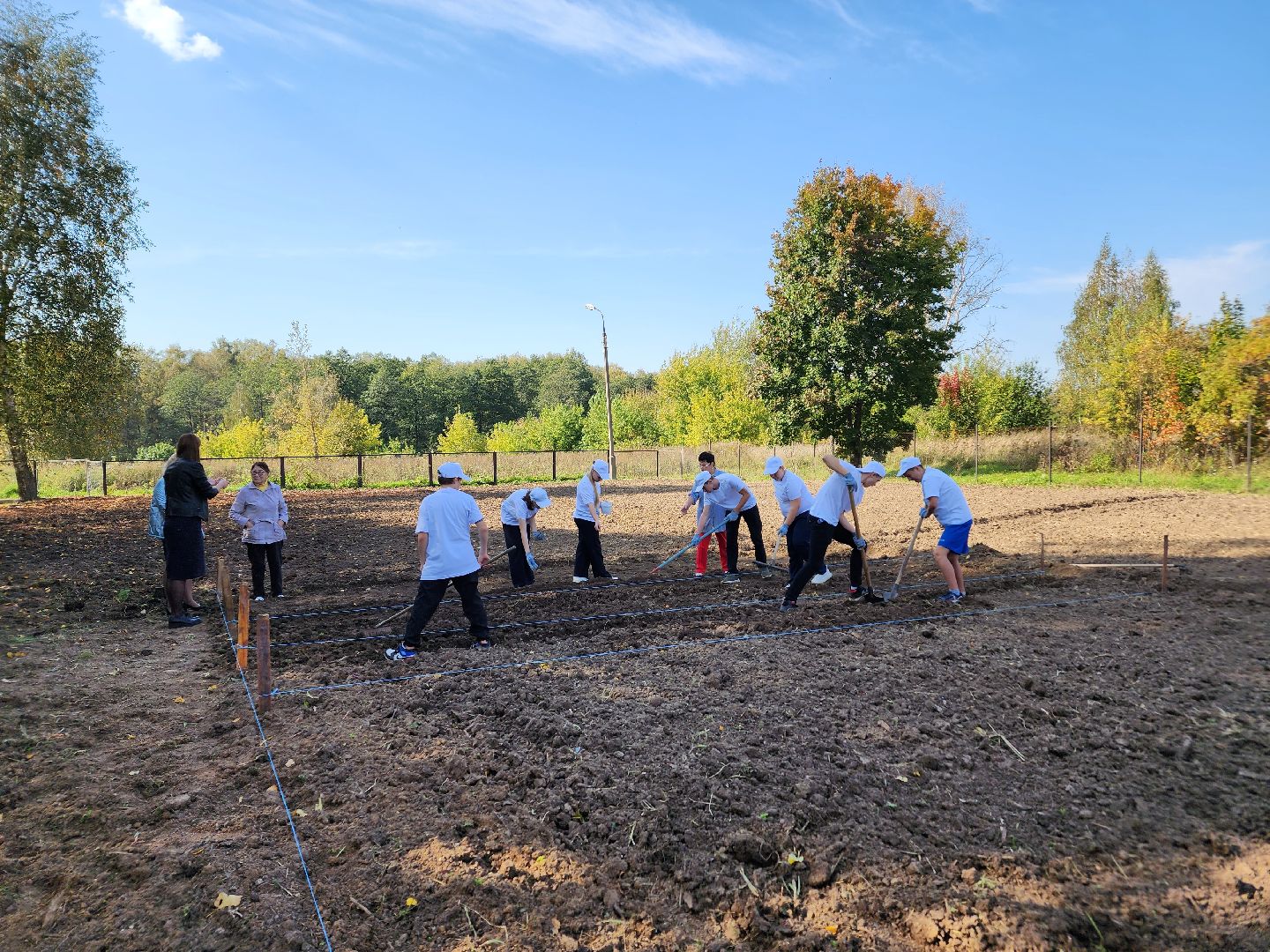 Ступино, аграрный класс, образование,