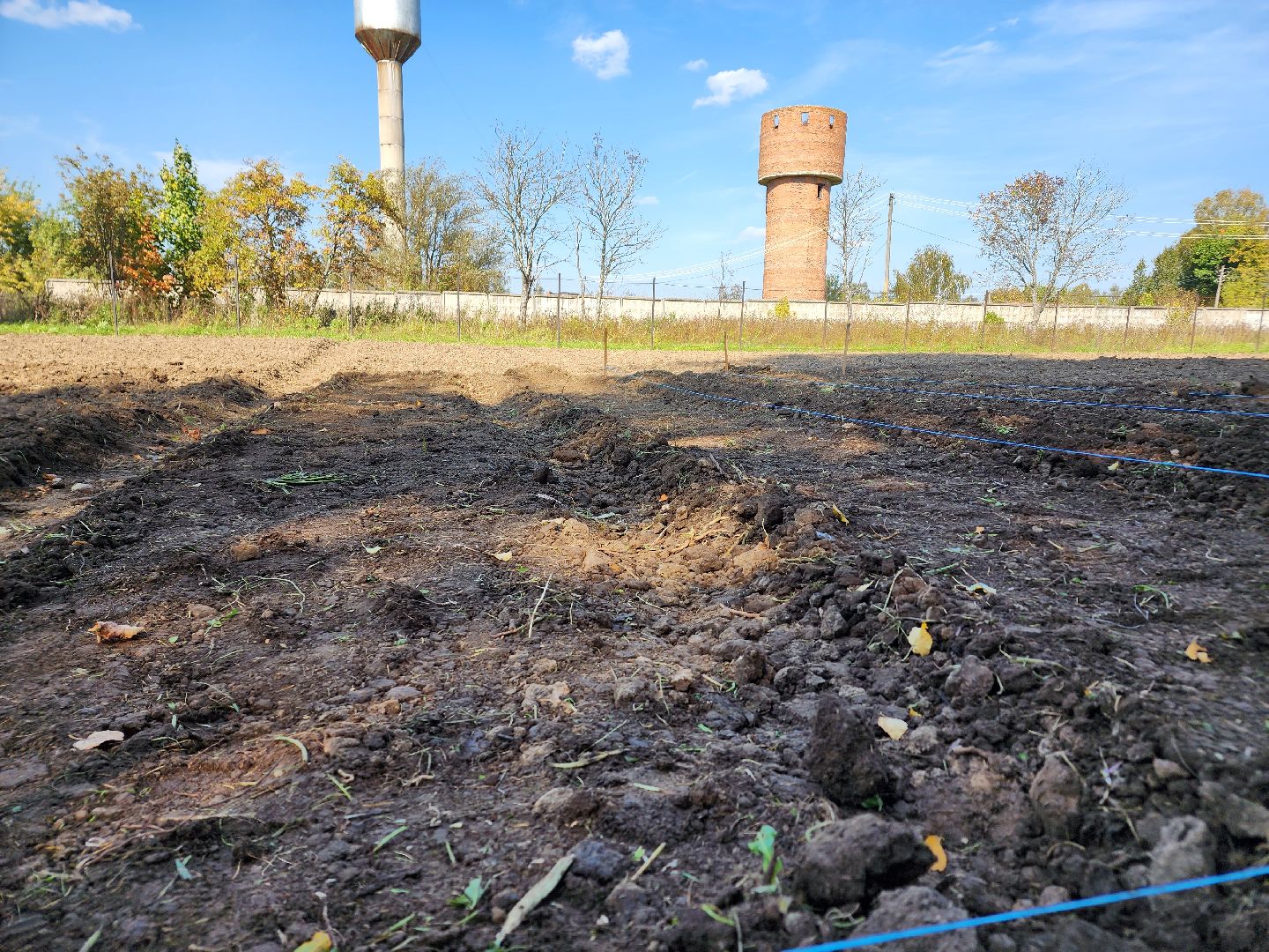 Ступино, аграрный класс, образование,