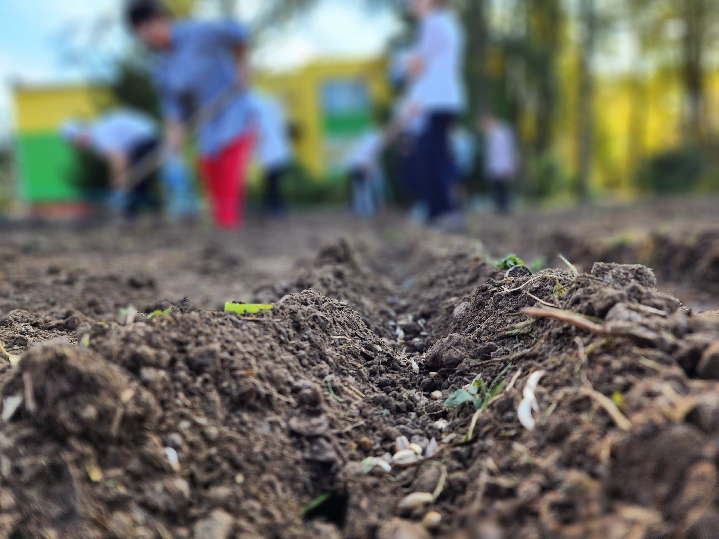 Ступино, аграрный класс, образование,