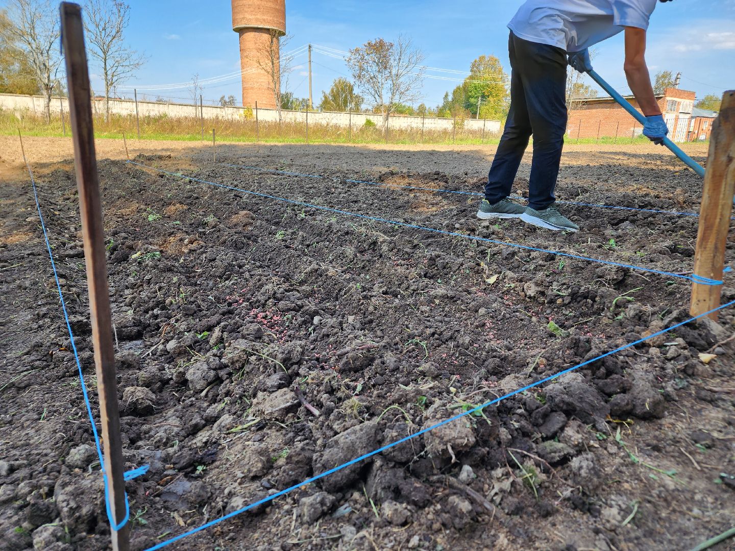 Ступино, аграрный класс, образование,
