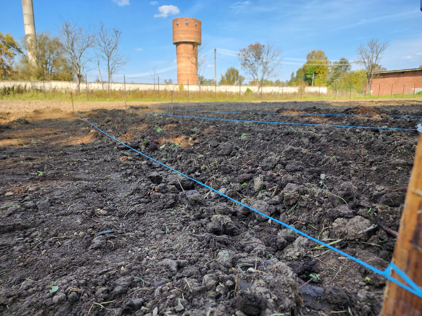 Ступино, аграрный класс, образование,