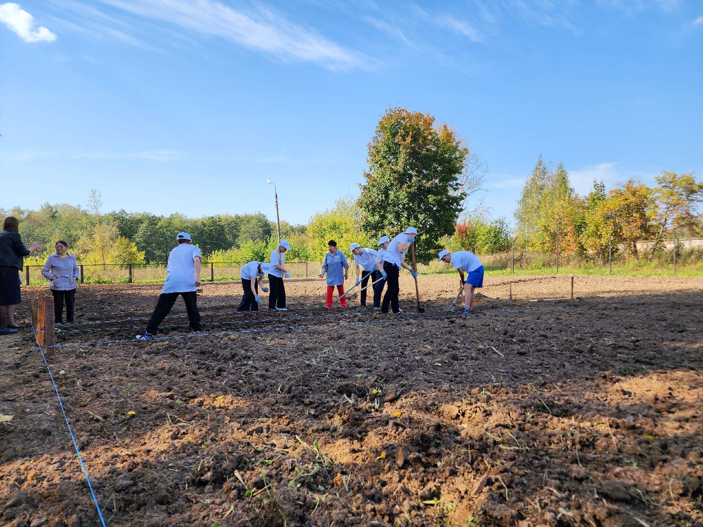 Ступино, аграрный класс, образование,