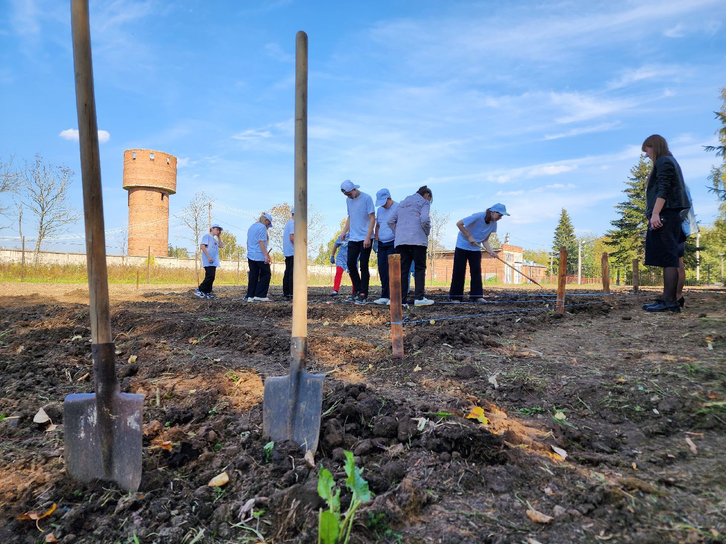 Ступино, аграрный класс, образование,