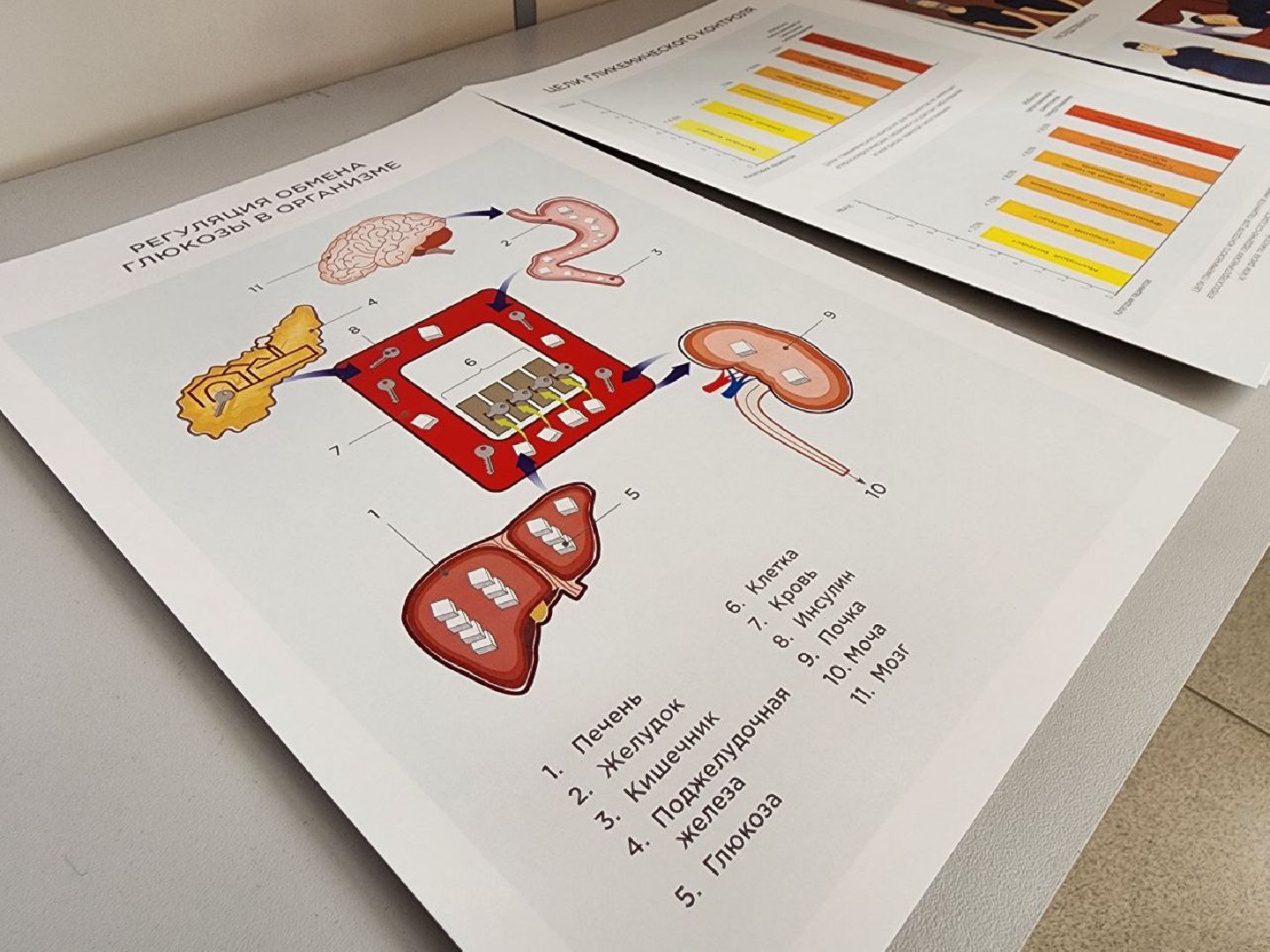 сахарный диабет, школа сахарного диабета, поликлиника, здоровье, лосино-петровский,