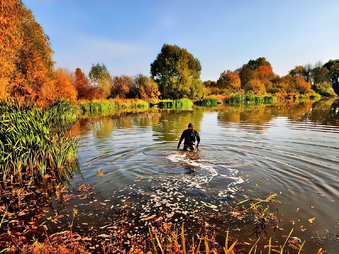 Балашиха, Одинцово, Московская область, Добротворецъ, Карэн Агамалян, Лиза Алерт, Павловский Посад