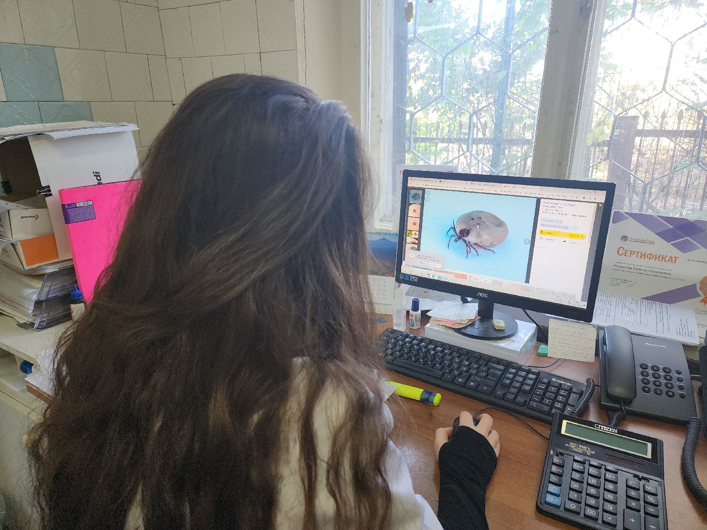 Кашира, клещевой энцефалит, эпидемиолог, клещи, защита,