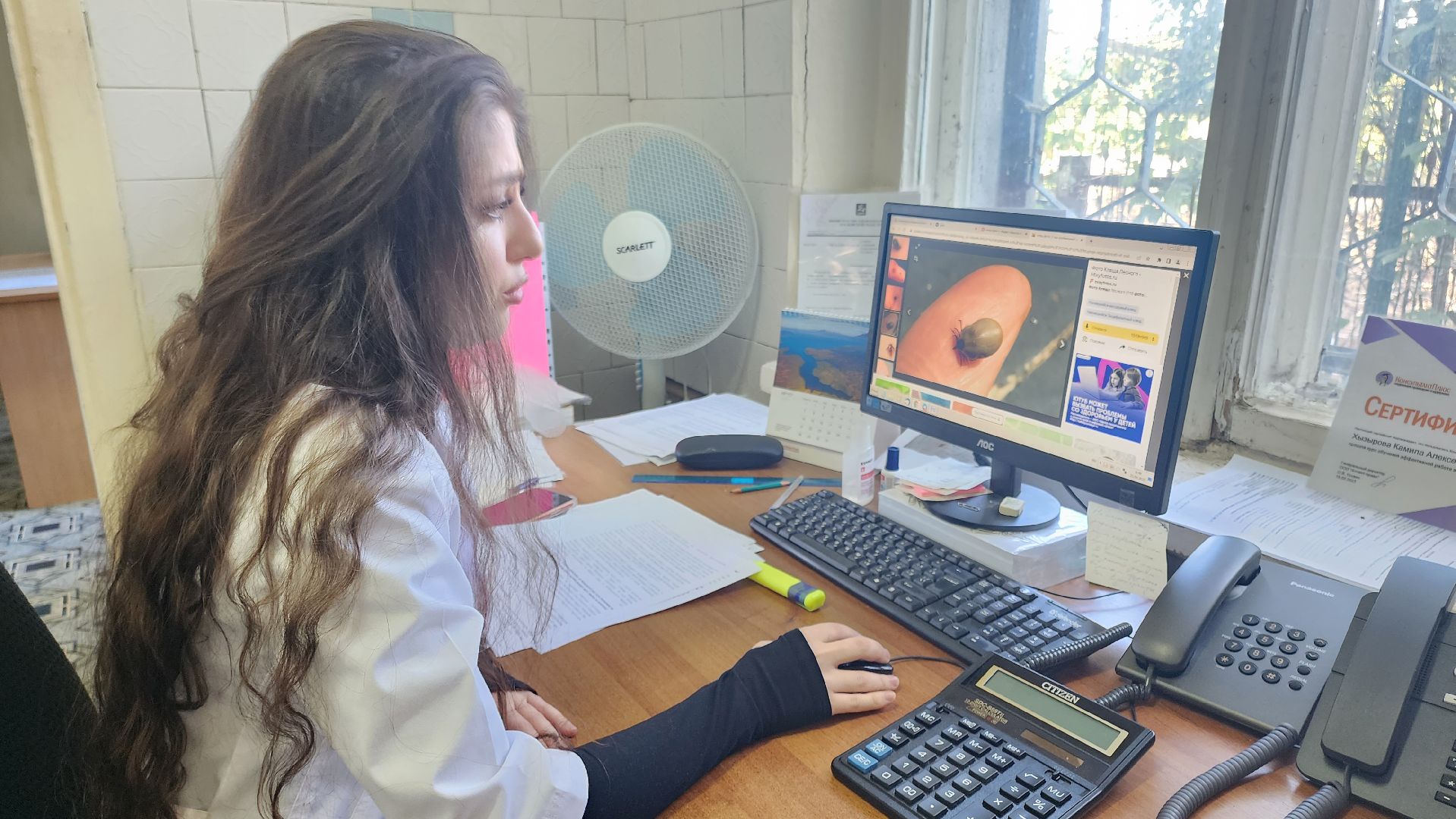 Кашира, клещевой энцефалит, эпидемиолог, клещи, защита,