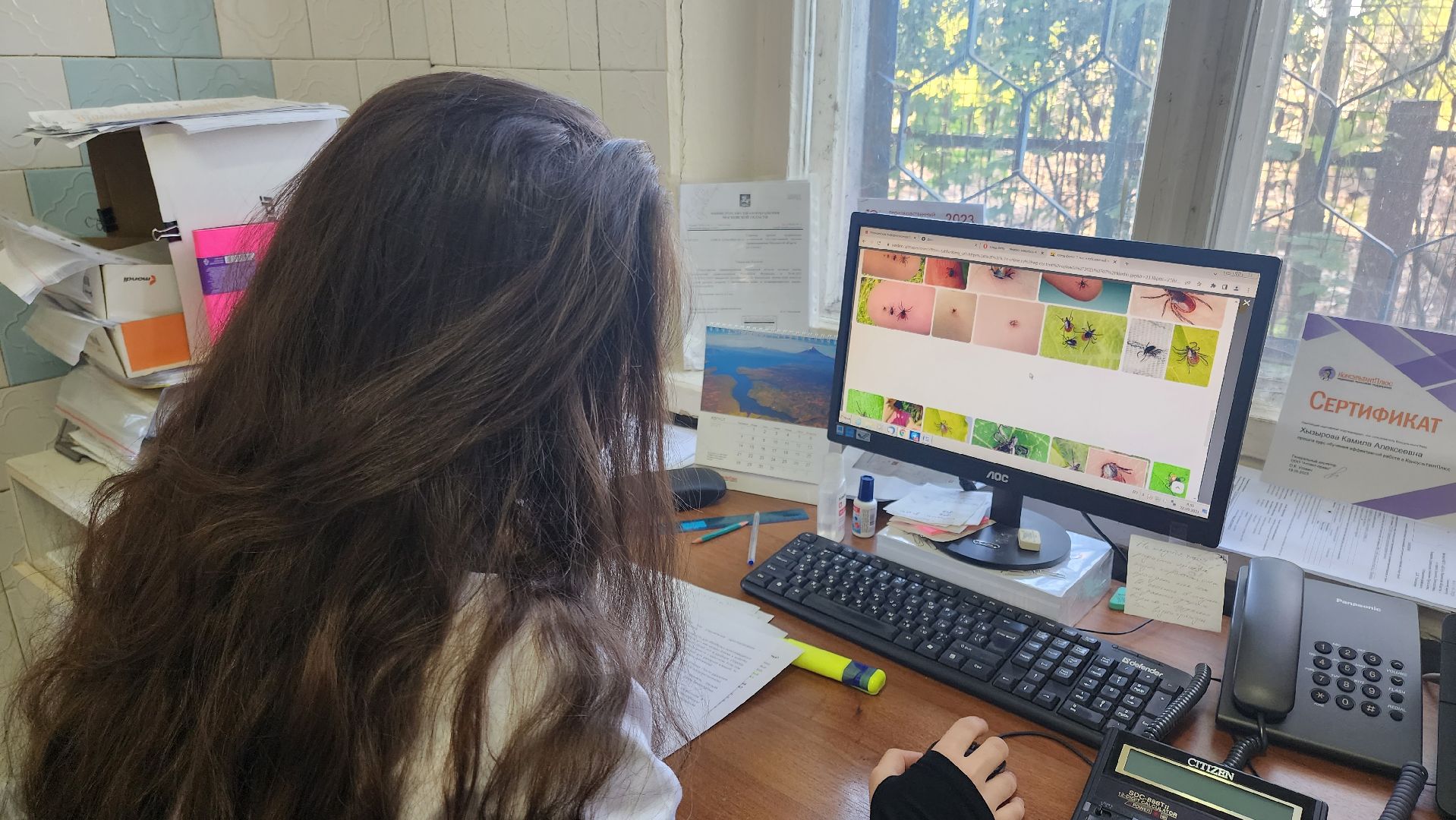 Кашира, клещевой энцефалит, эпидемиолог, клещи, защита,