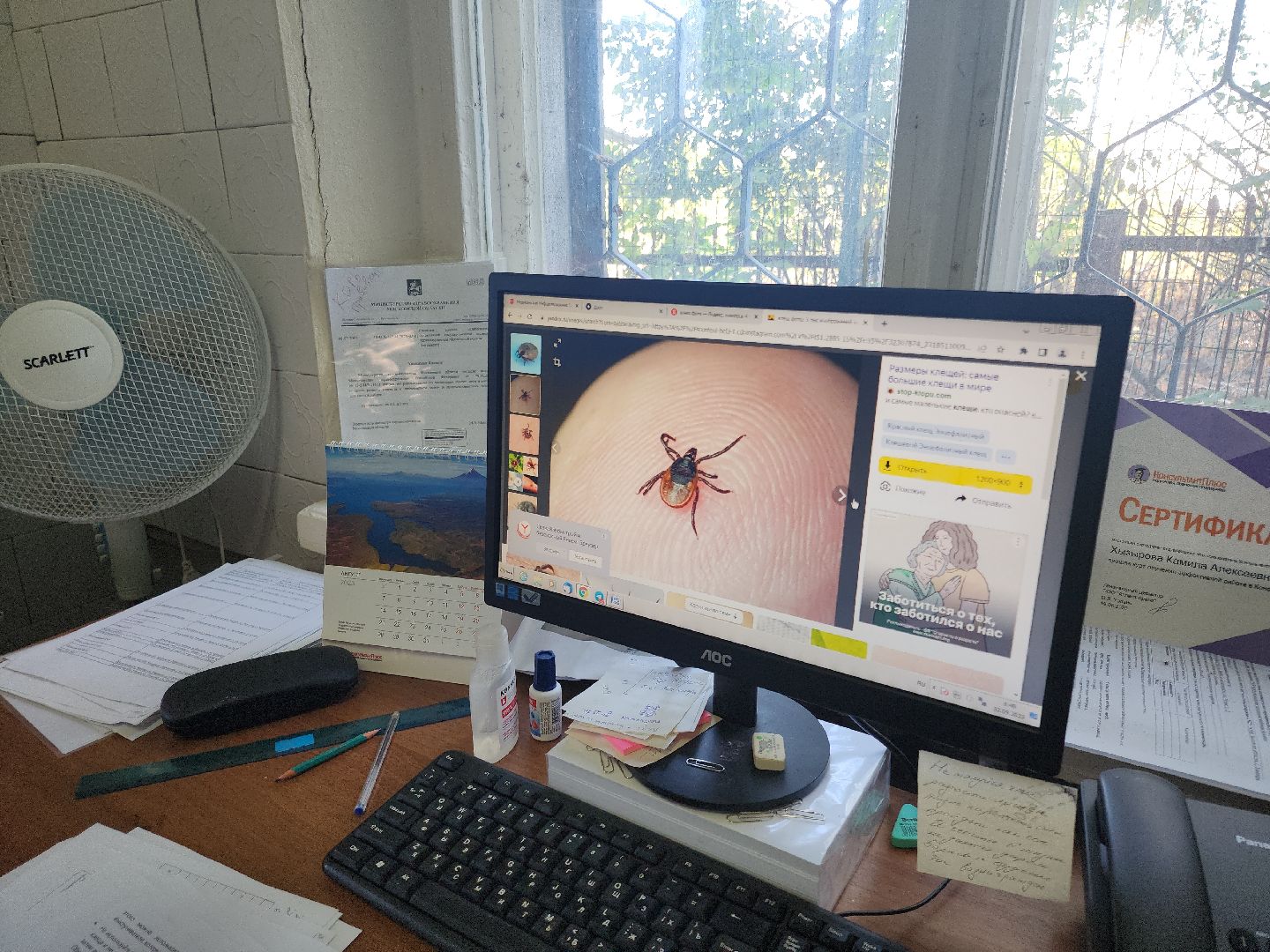 Кашира, клещевой энцефалит, эпидемиолог, клещи, защита,