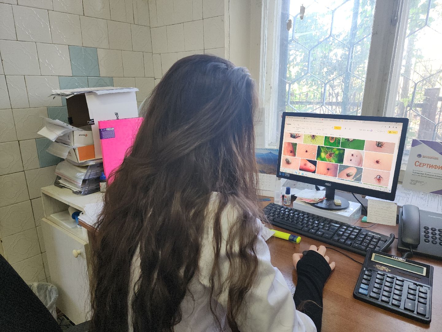 Кашира, клещевой энцефалит, эпидемиолог, клещи, защита,