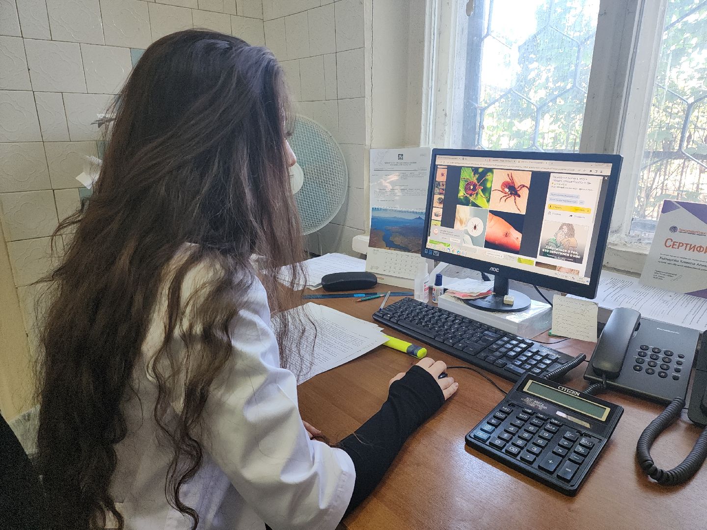 Кашира, клещевой энцефалит, эпидемиолог, клещи, защита,