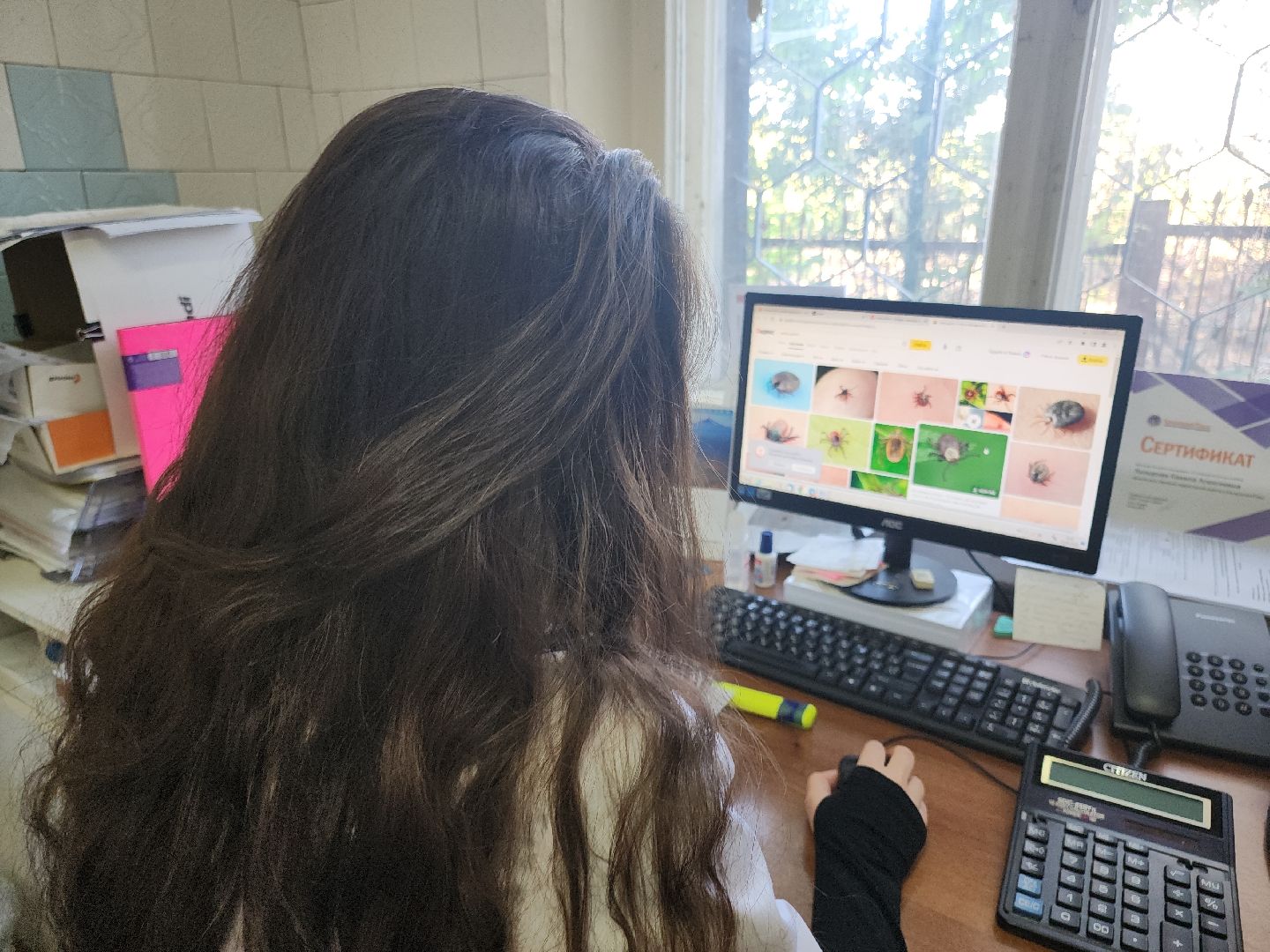 Кашира, клещевой энцефалит, эпидемиолог, клещи, защита,