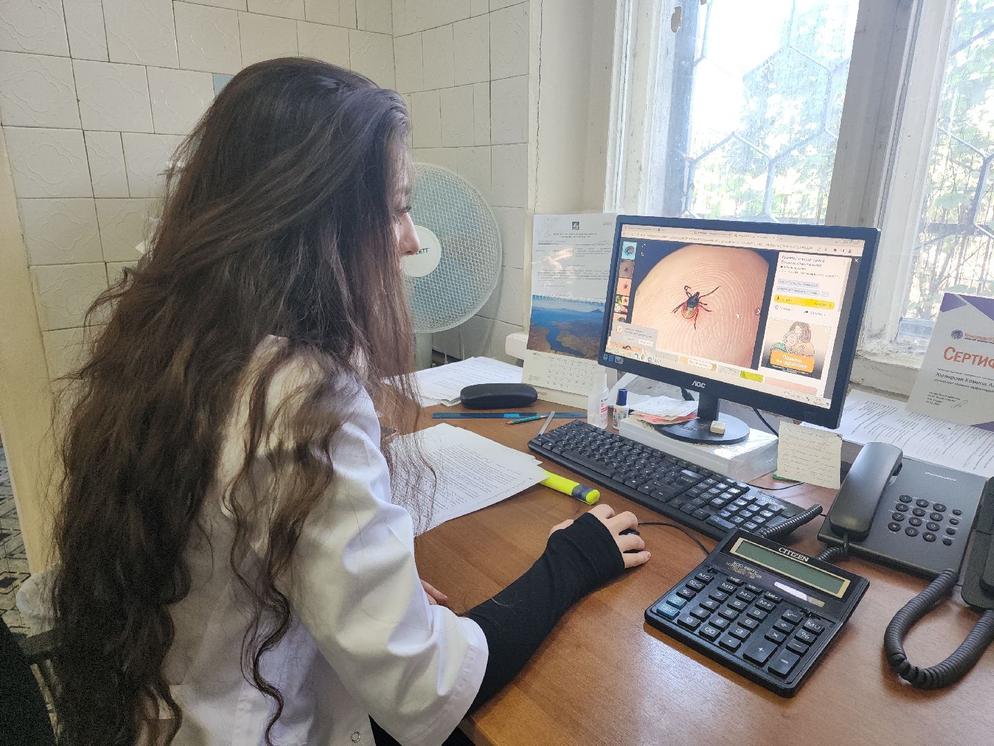 Кашира, клещевой энцефалит, эпидемиолог, клещи, защита,