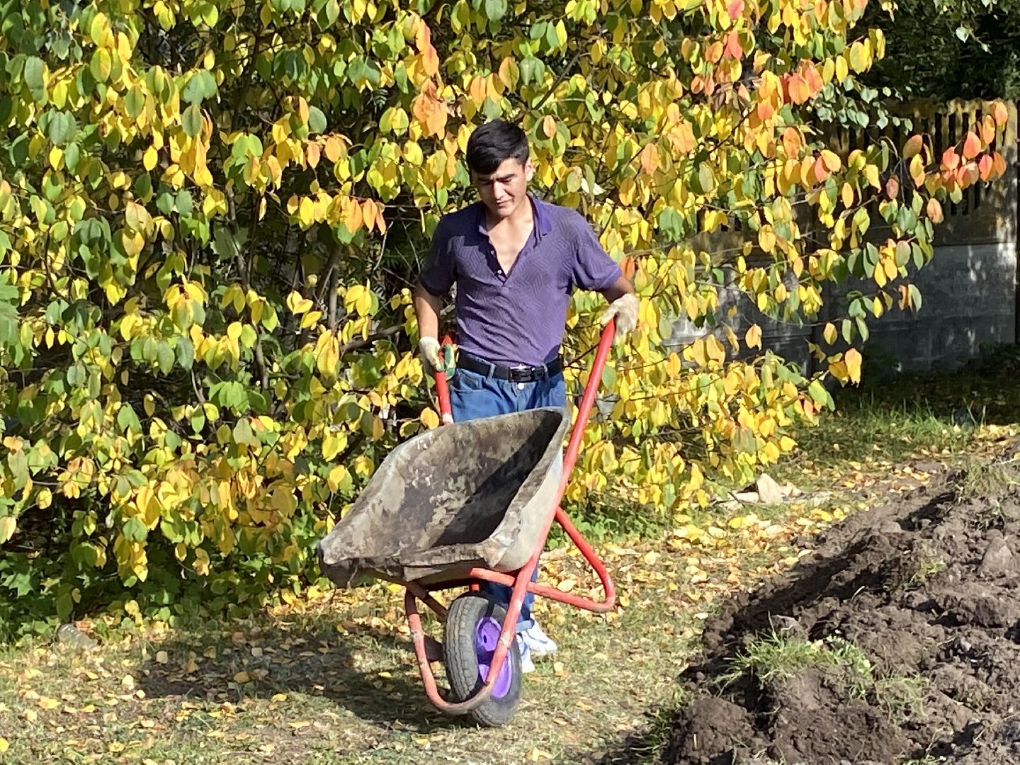 спортивная площадка, школа, обращение жителей,