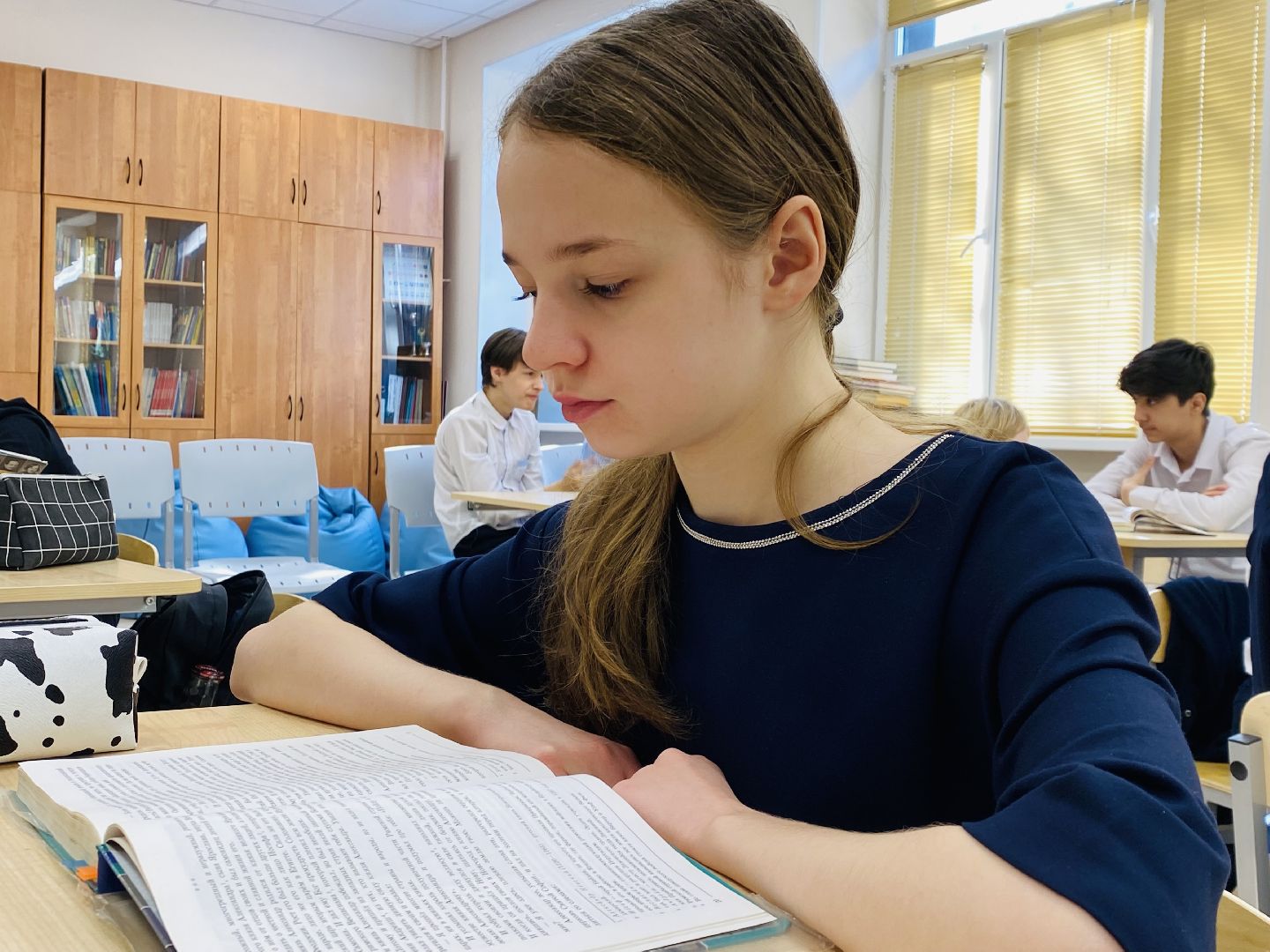 Балашиха, микрорайон салтыковка, Профессиональное мастерство, Салтыковская гимназия,