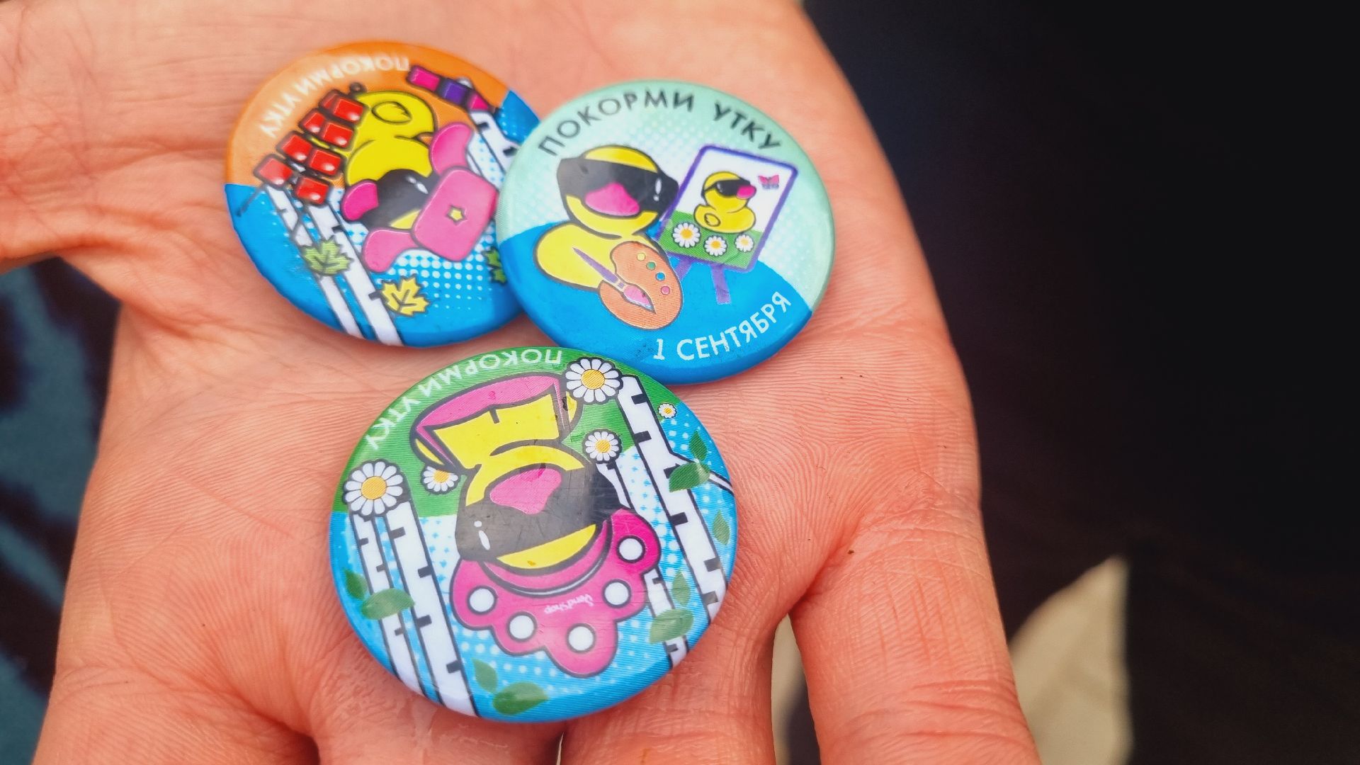 Подмосковье, городской округ пушкинский, Ивантеевка, парки подмосковья, дети, выходные в подмосковье,