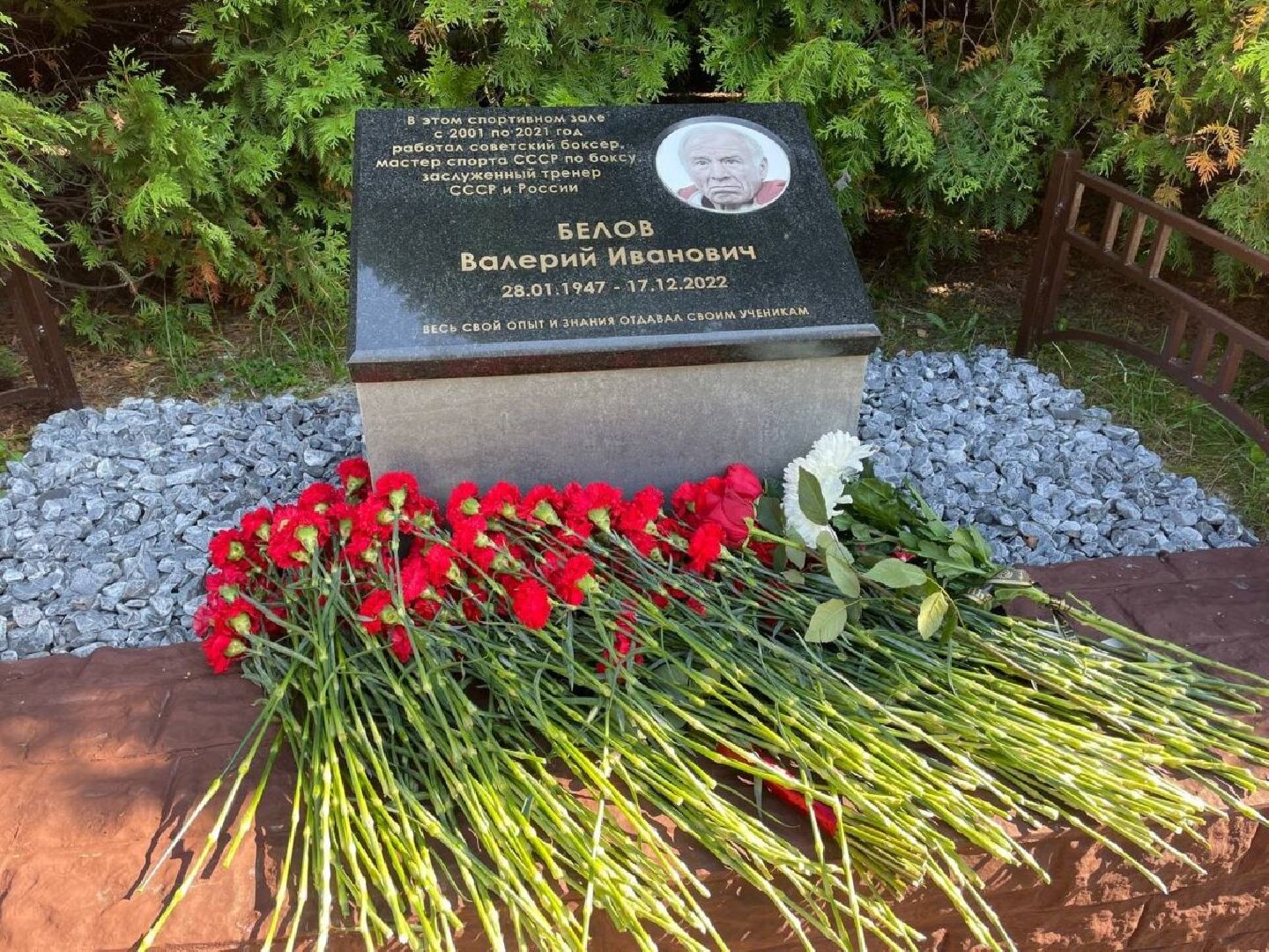 спорт подмосковья, Бокс, Город чехов, Поветкин, Спорт, спортивная школа,