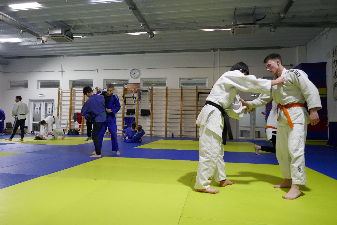 Подольск, спорт, чемпионы, победа, дзюдо