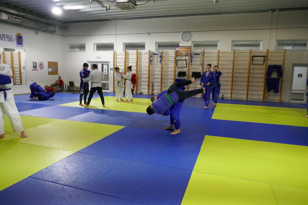 Подольск, спорт, чемпионы, победа, дзюдо