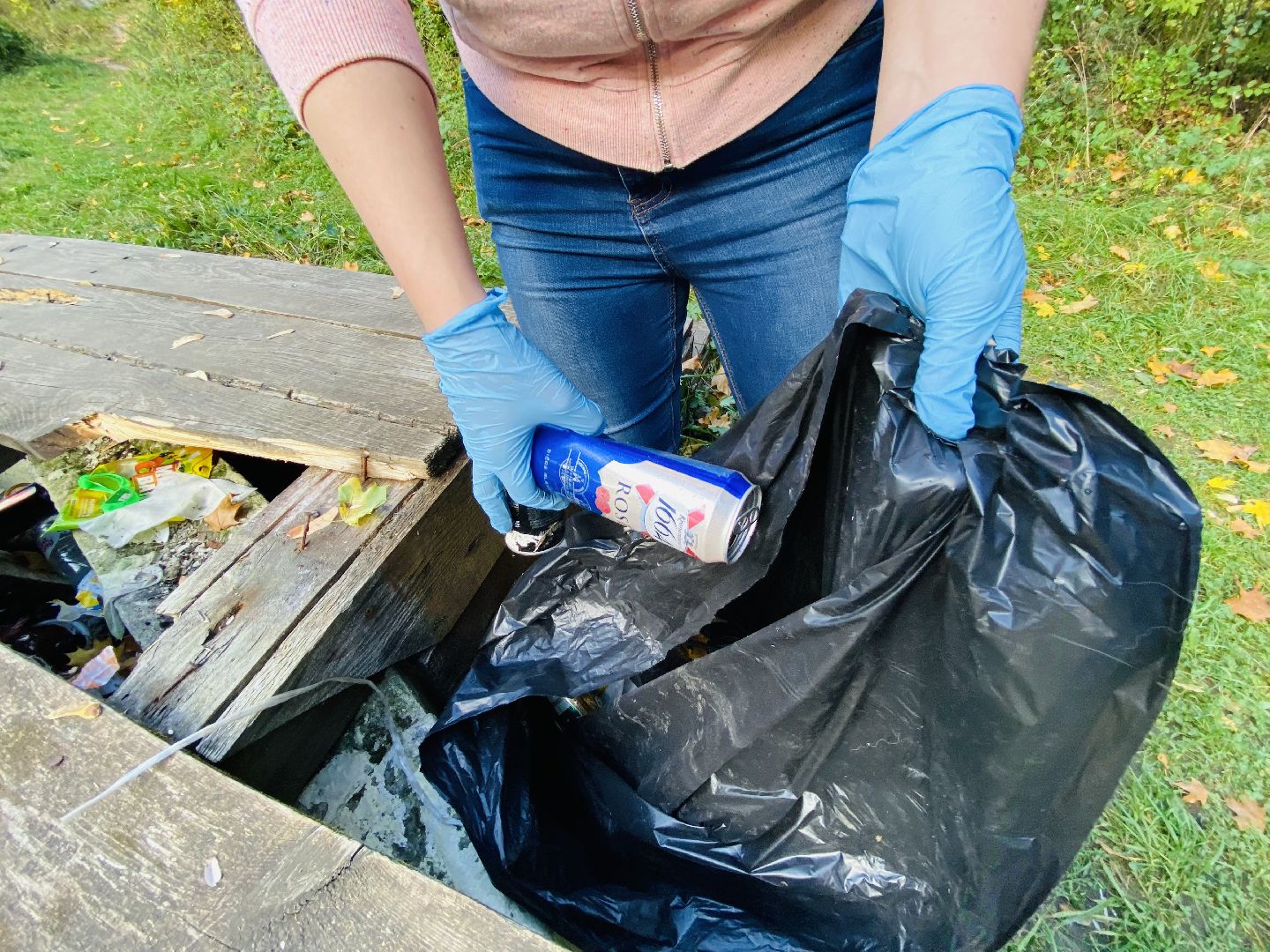 Балашиха, Усадьба Пехра-Яковлевское, субботник, краеведы,