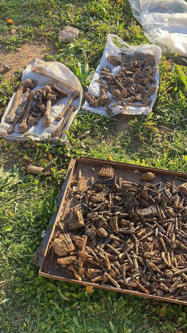 волоколамск, воины, патриотизм, патриотическое воспитание, дети, вов,