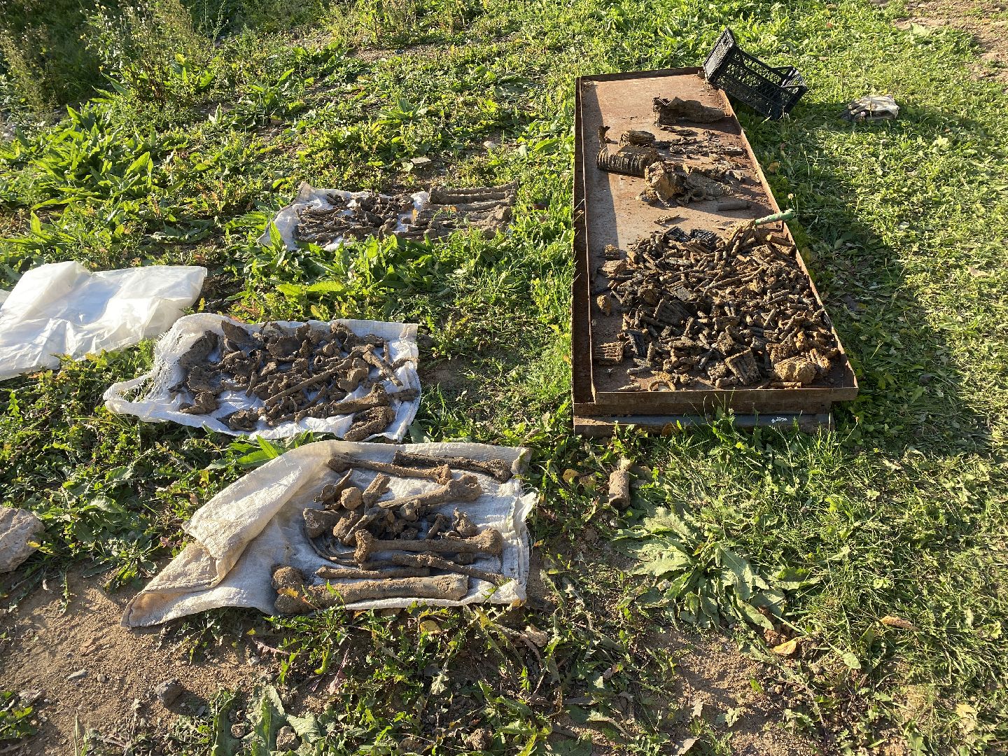 волоколамск, воины, патриотизм, патриотическое воспитание, дети, вов,