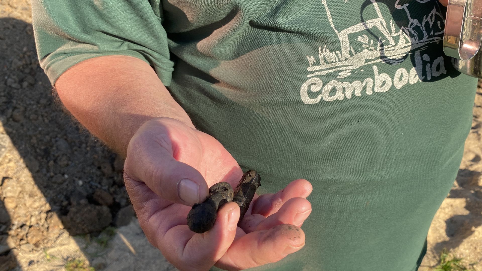 волоколамск, воины, патриотизм, патриотическое воспитание, дети, вов,