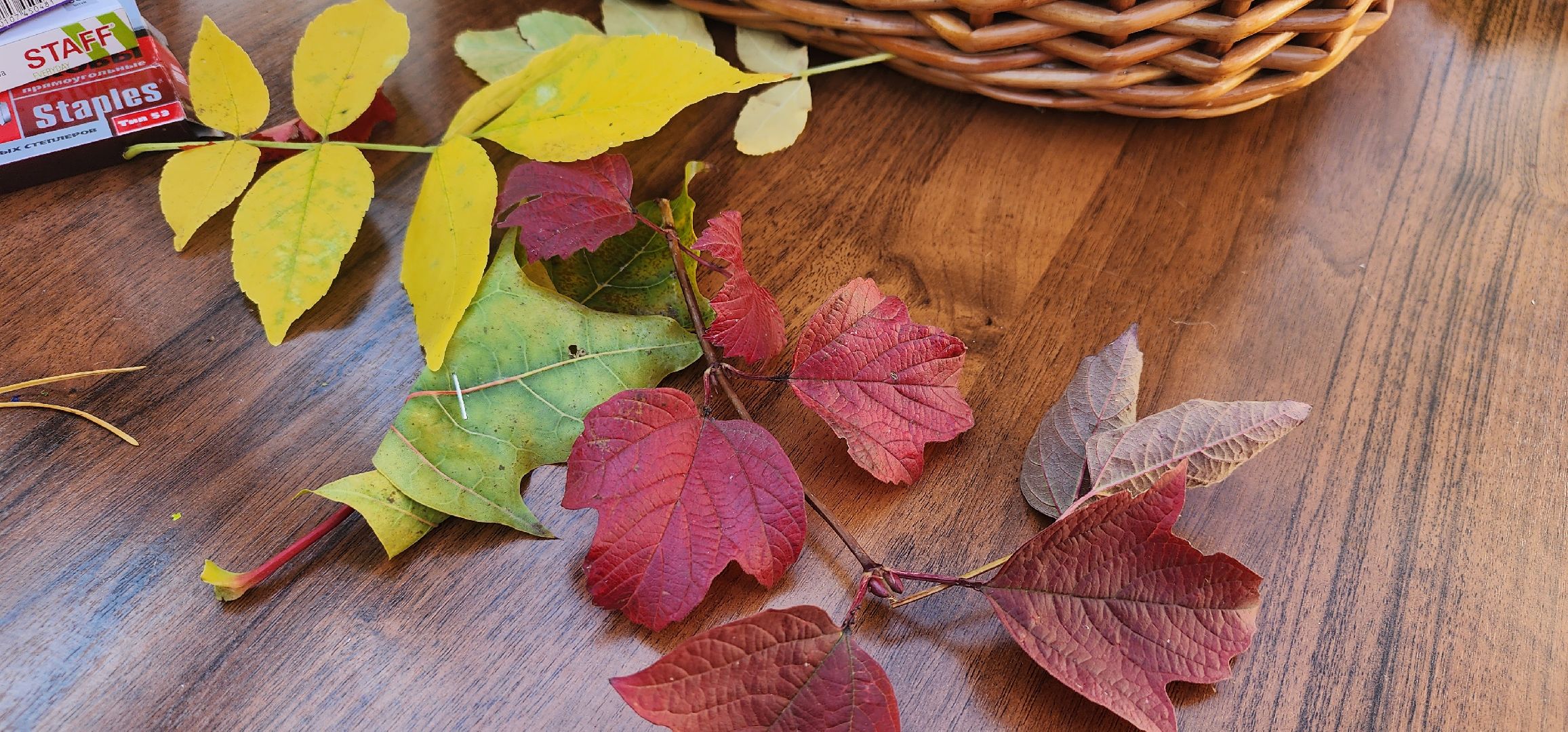 Рошаль, парк, день рождения, Крестов брод,