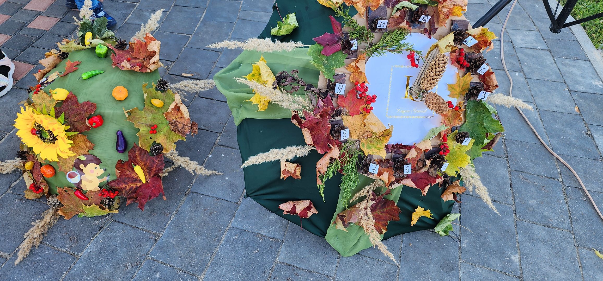 Рошаль, парк, день рождения, Крестов брод,