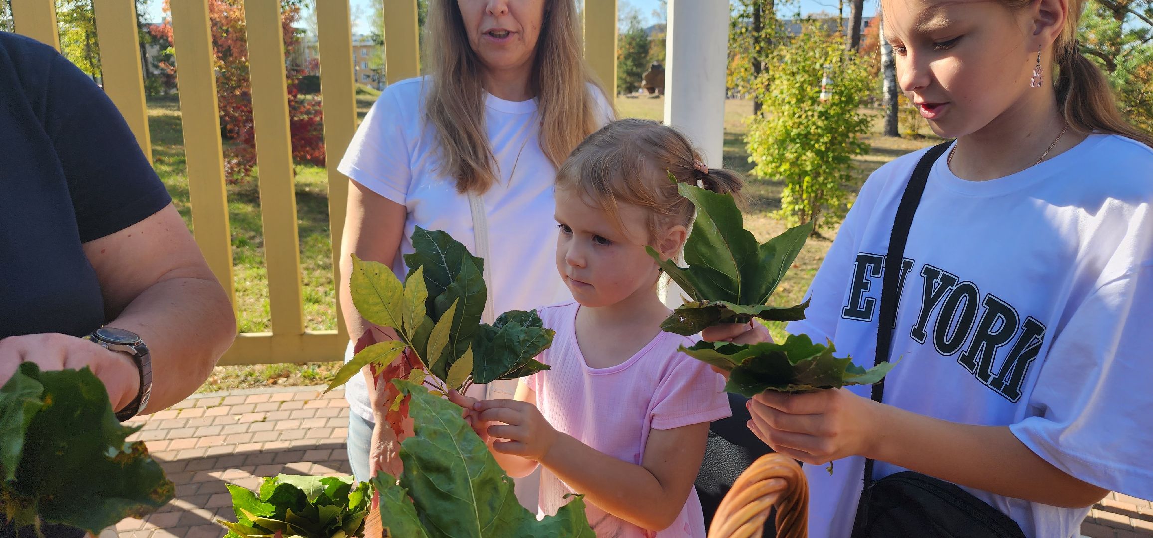 Рошаль, парк, день рождения, Крестов брод,