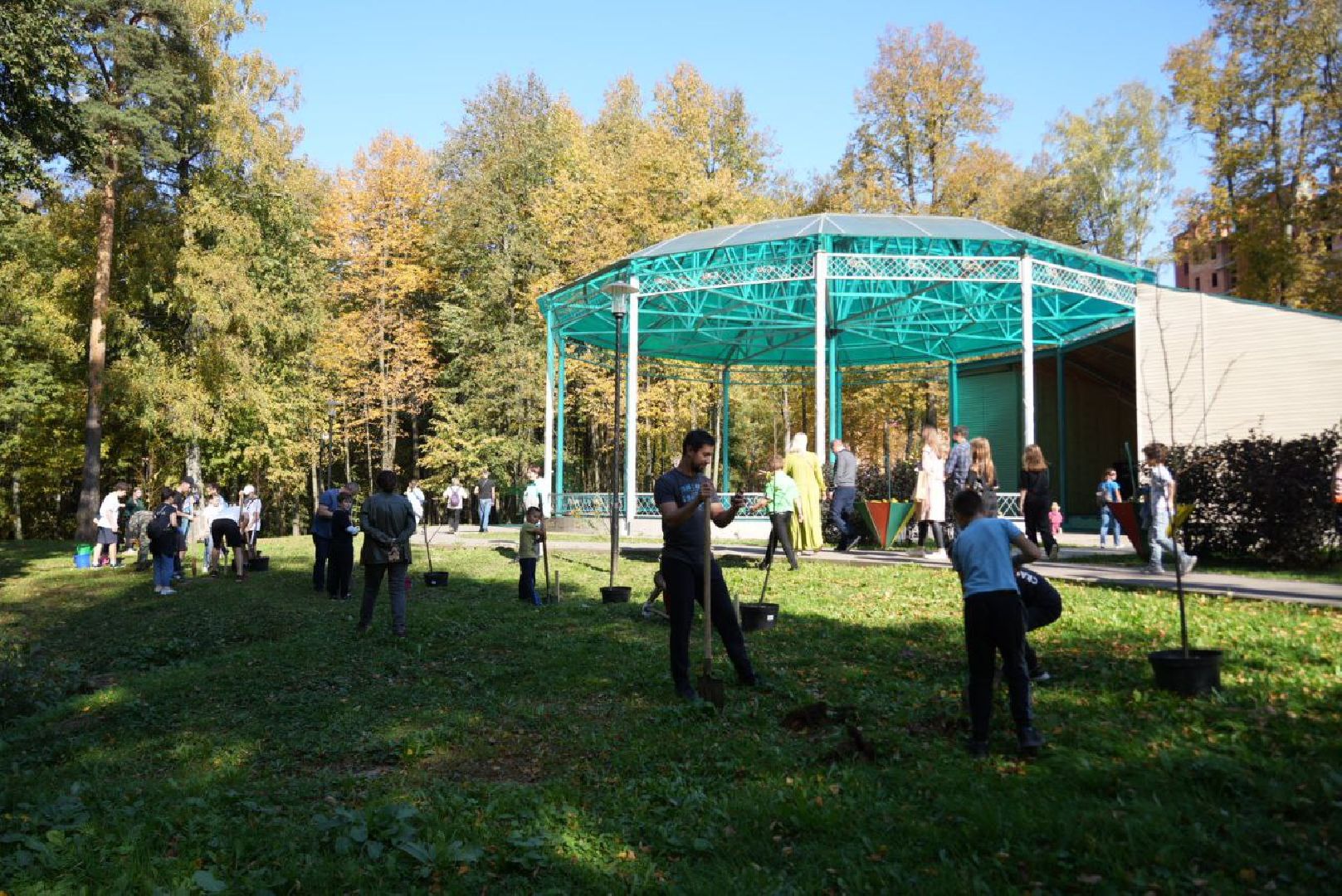 Сергиево-Посадский городской округ, Сергиев Посад, Экология, Акция, Наш лес, Посади свое дерево, Озеленение,