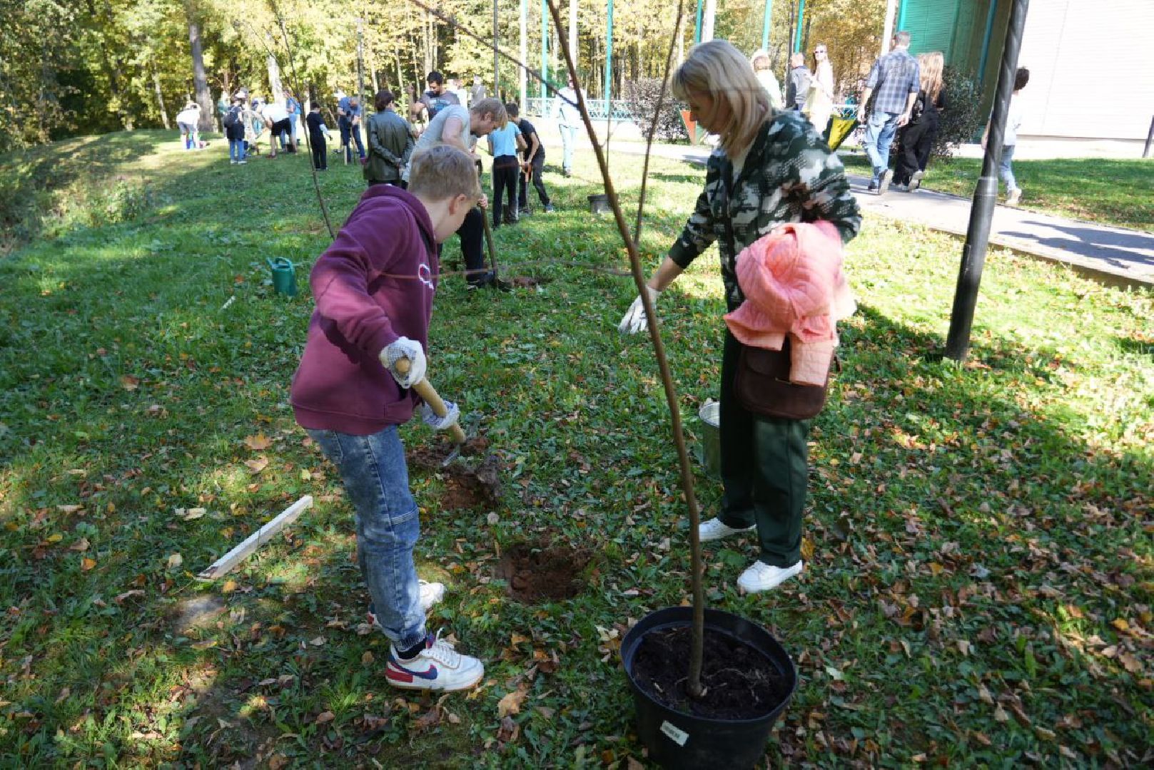 Сергиево-Посадский городской округ, Сергиев Посад, Экология, Акция, Наш лес, Посади свое дерево, Озеленение,