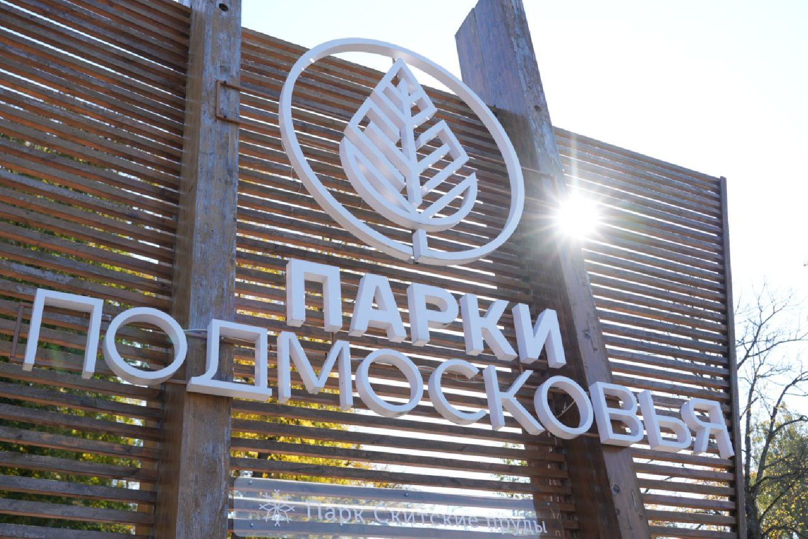 Сергиево-Посадский городской округ, Сергиев Посад, Экология, Акция, Наш лес, Посади свое дерево, Озеленение,